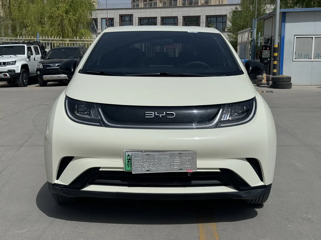 BYD Dolphin
