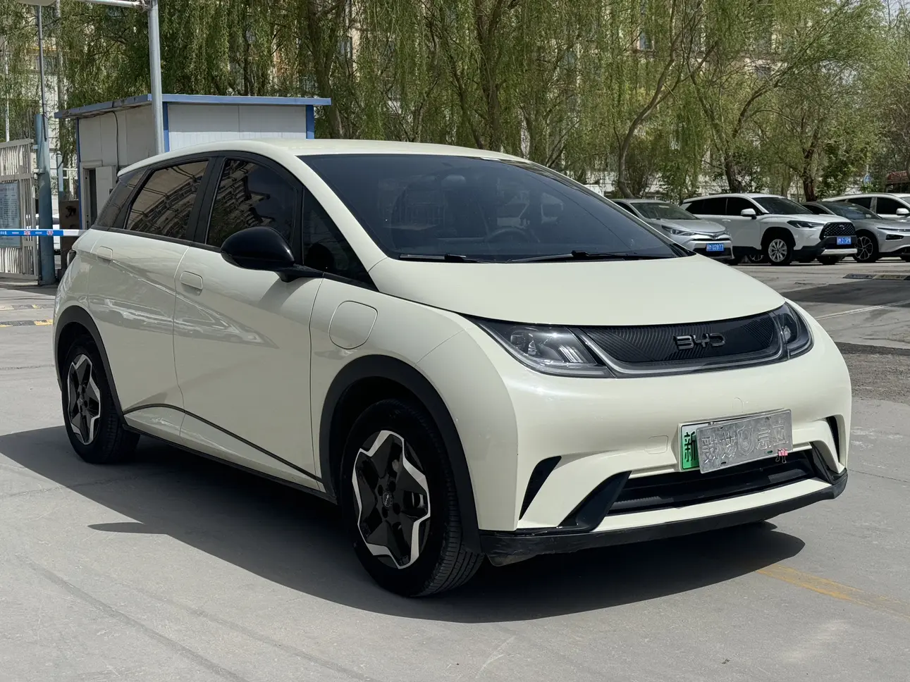 BYD Dolphin