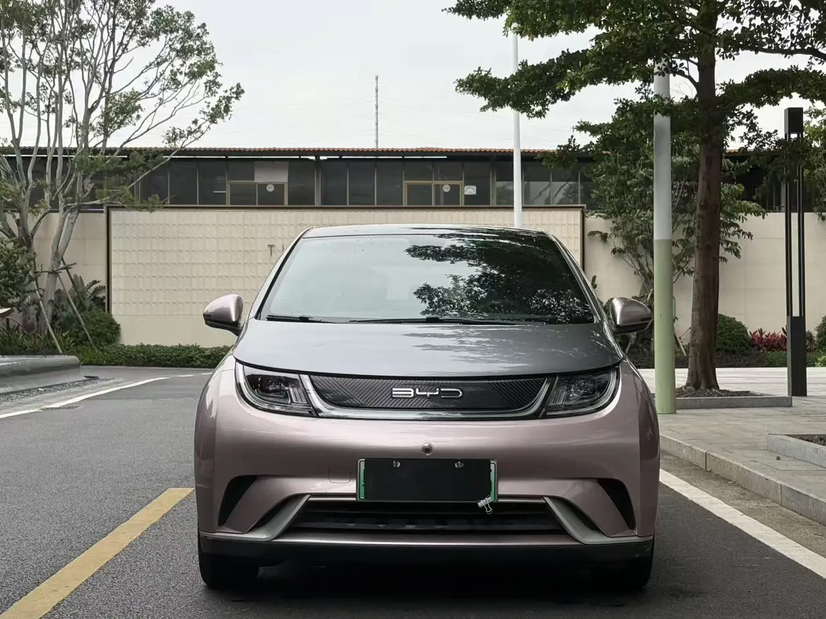 BYD Dolphin