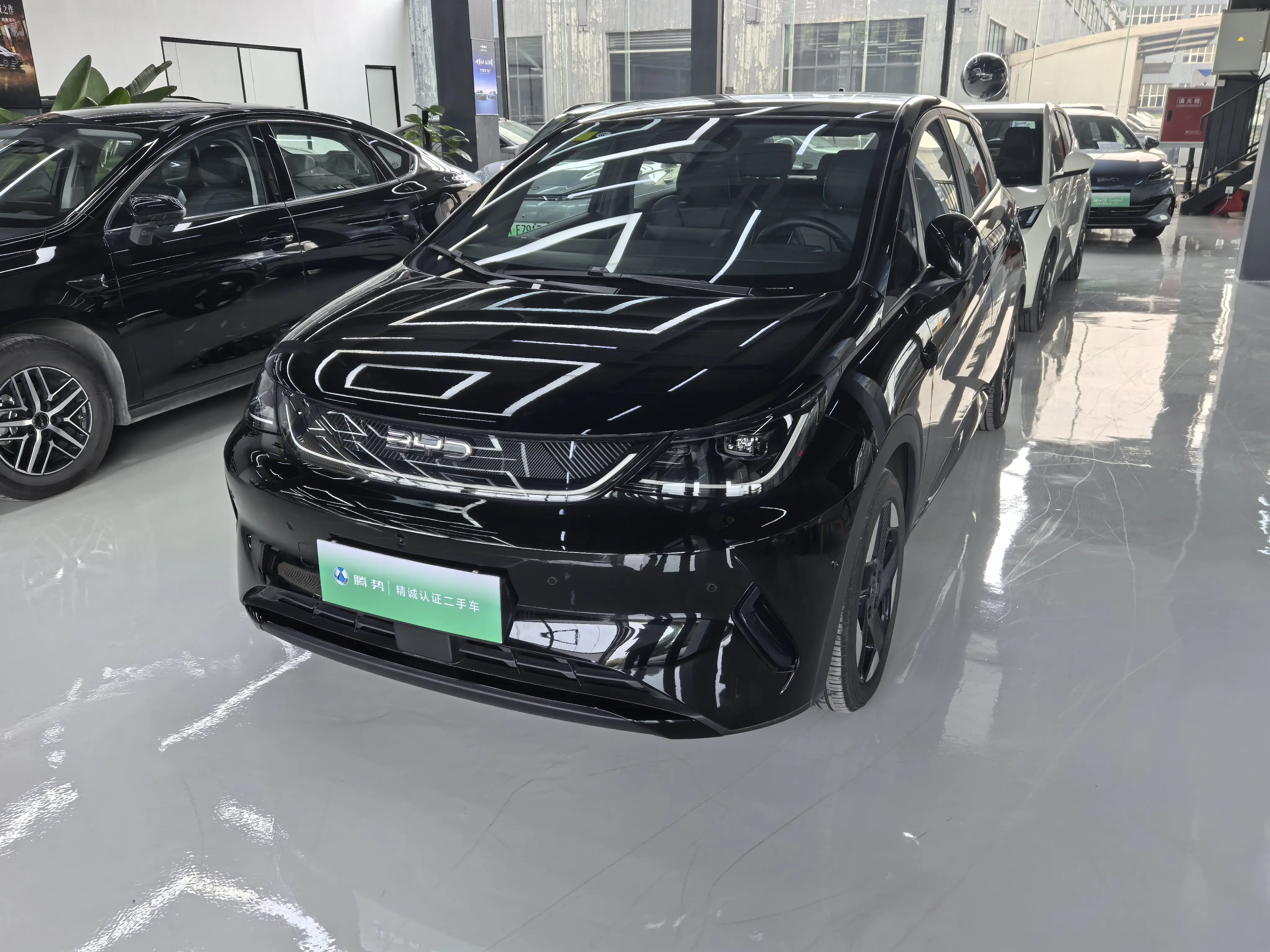 BYD Dolphin