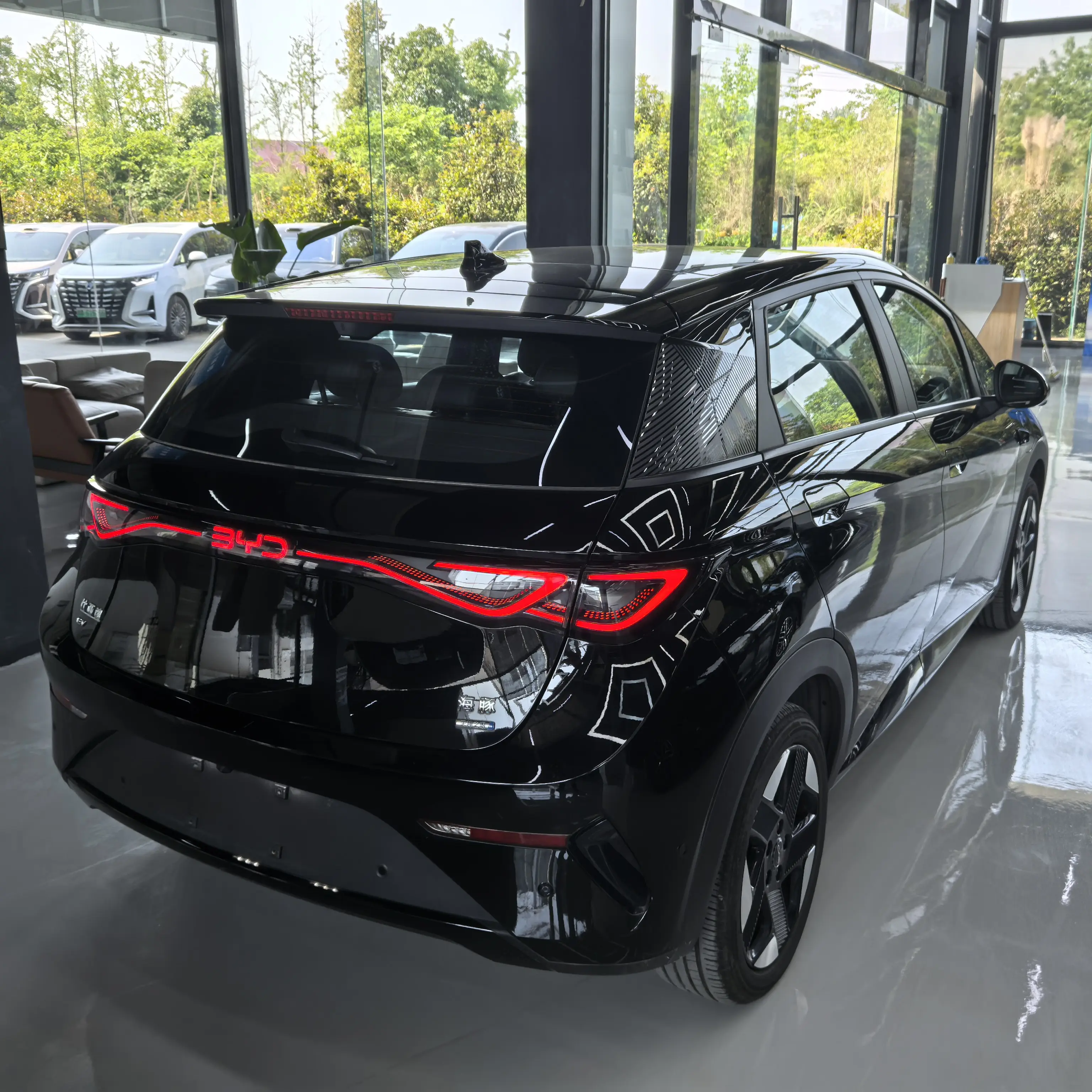 BYD Dolphin