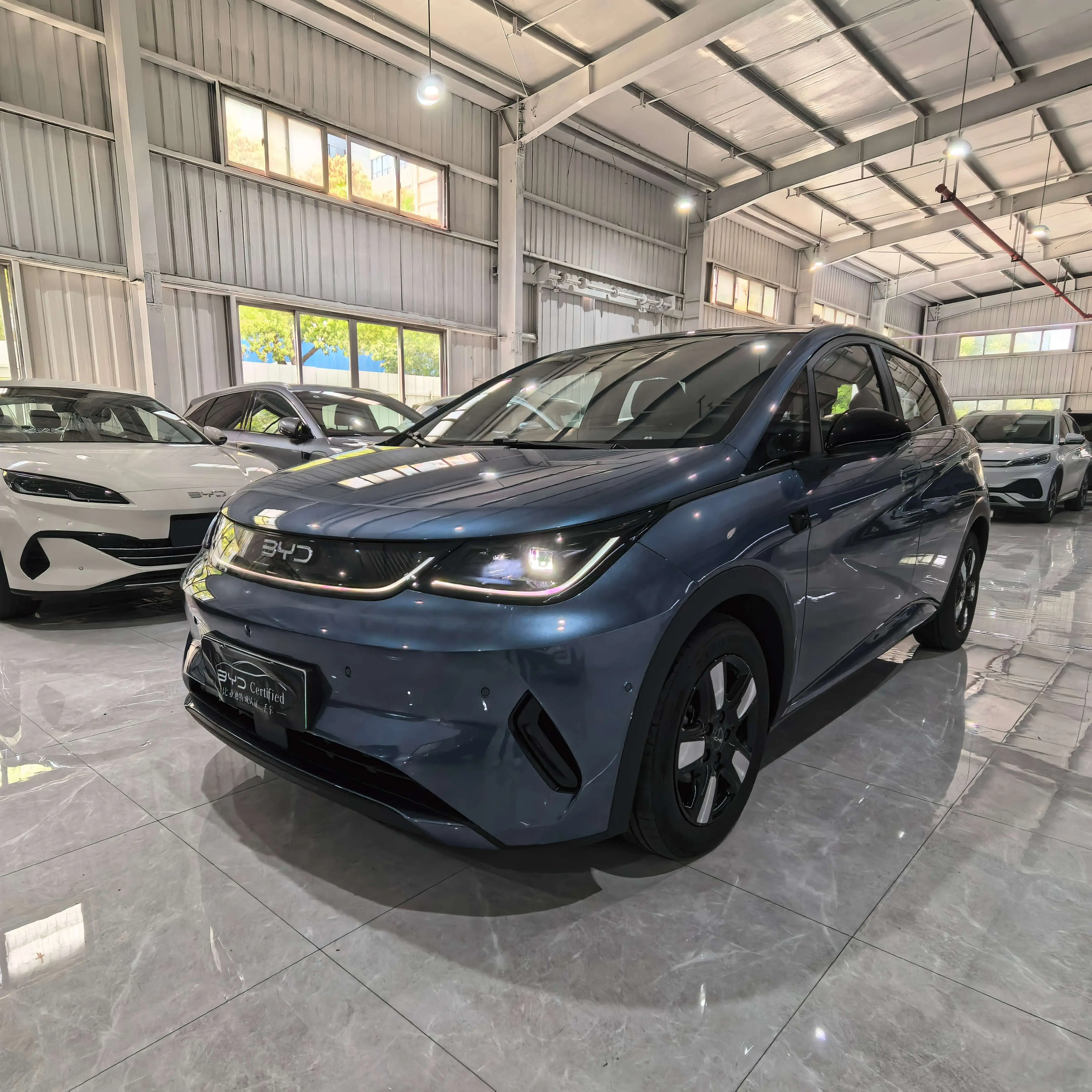 BYD Dolphin