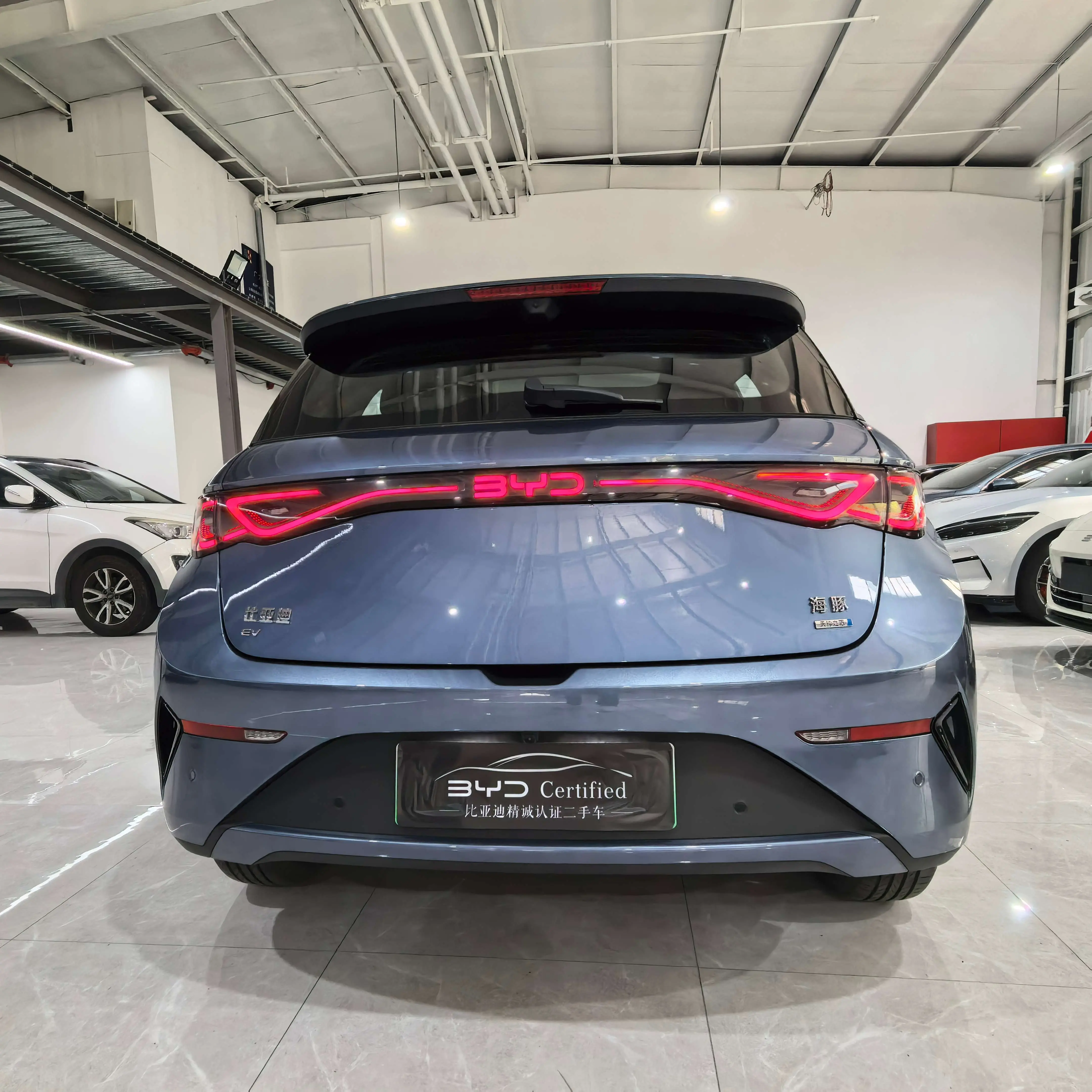 BYD Dolphin