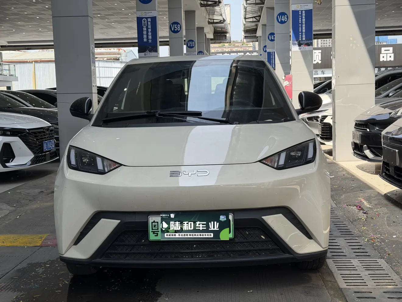 BYD Seagull