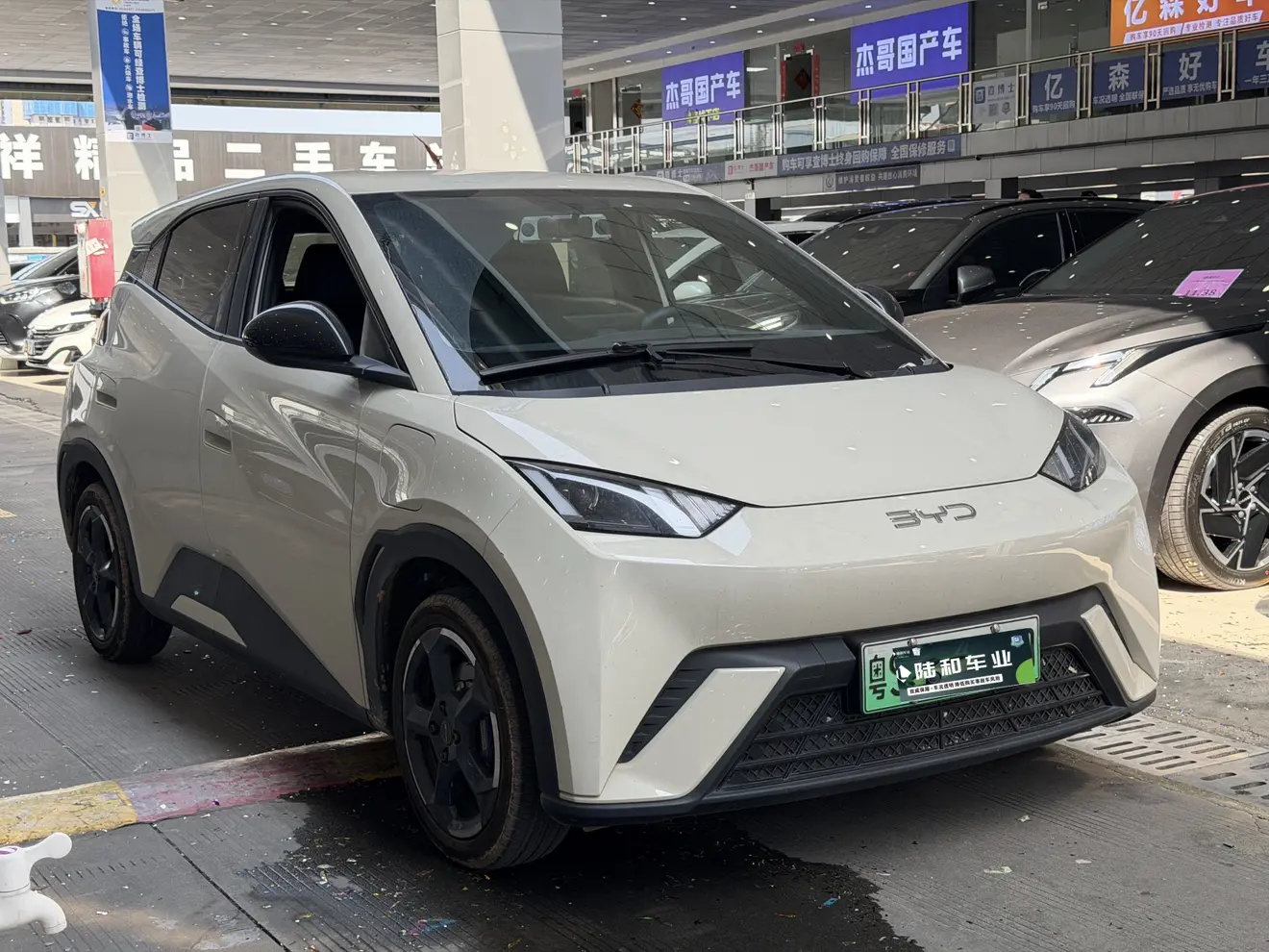 BYD Seagull