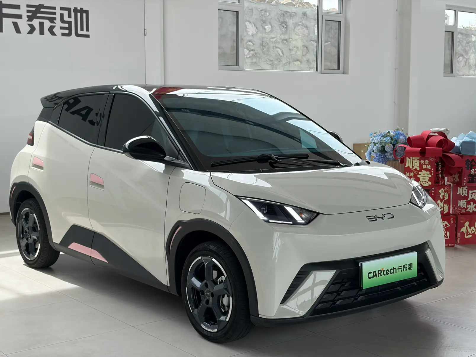 BYD Seagull