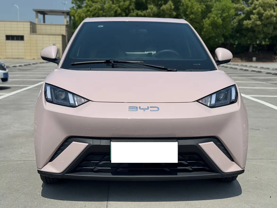 BYD Seagull