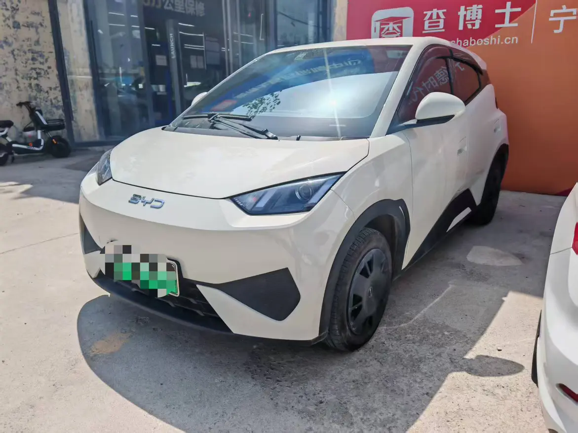 BYD Seagull