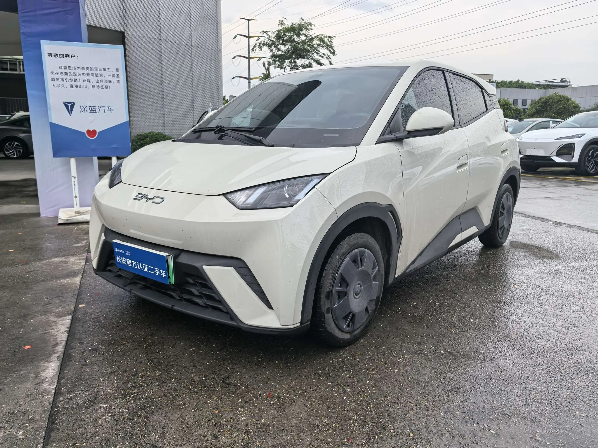 BYD Seagull