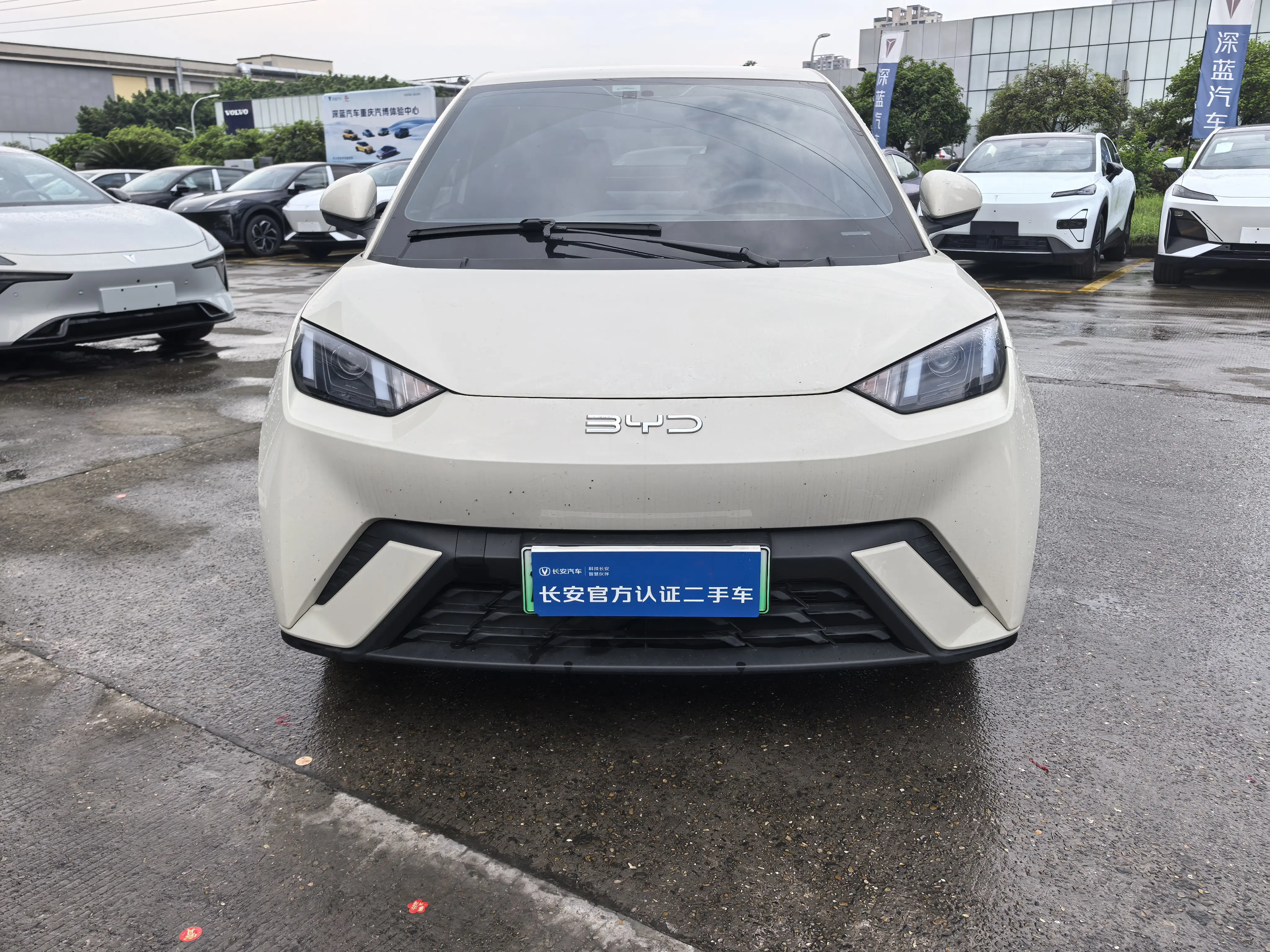 BYD Seagull