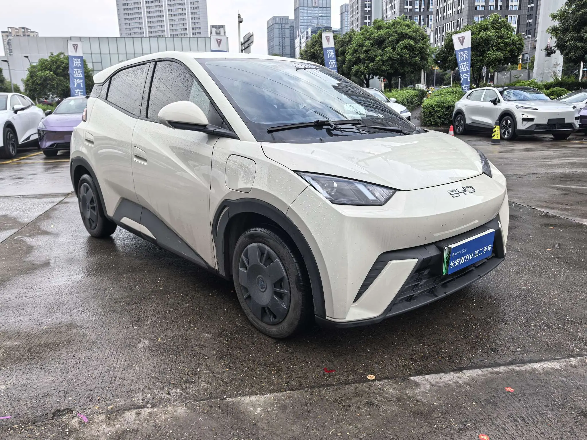 BYD Seagull