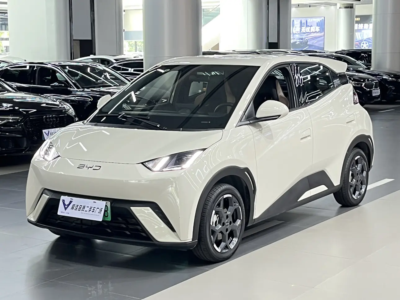 BYD Seagull