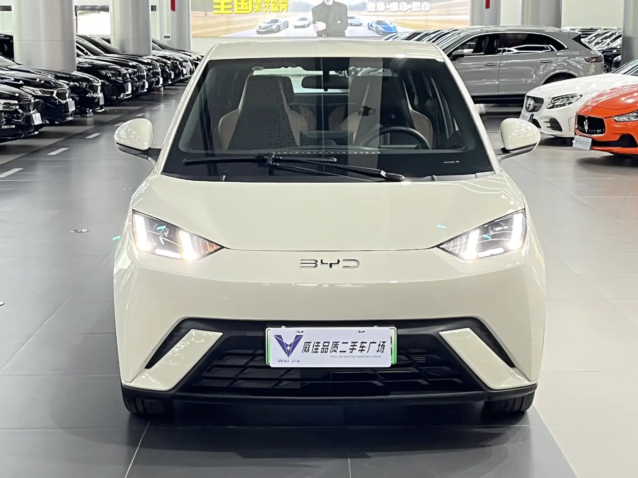 BYD Seagull