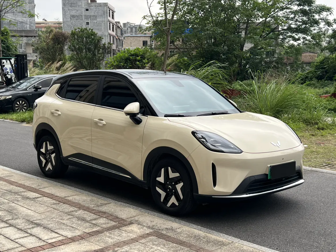 Wuling Bingo S