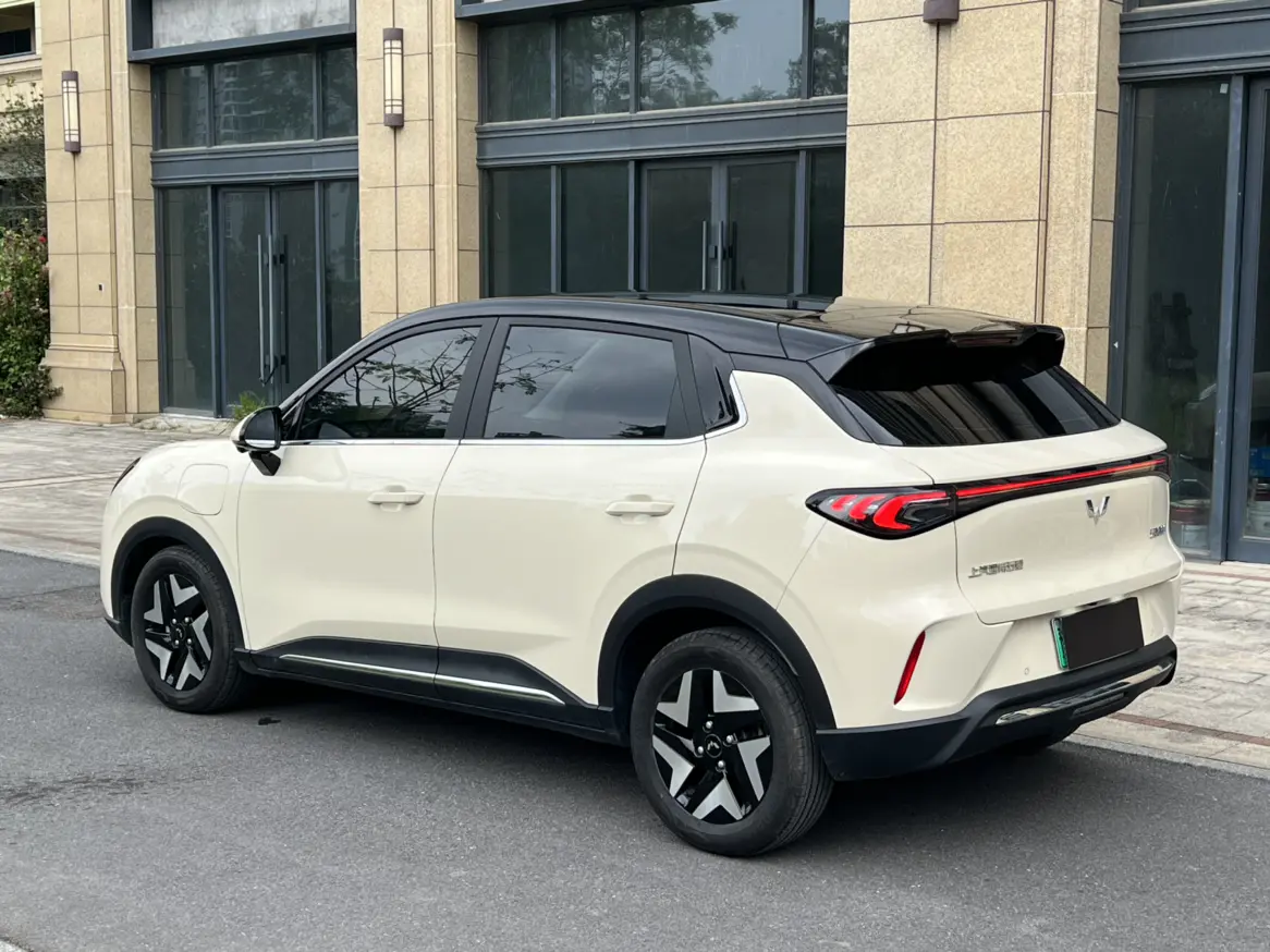 Wuling Bingo S