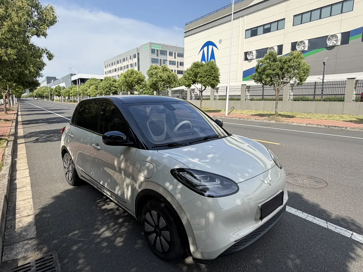 Wuling Bingo