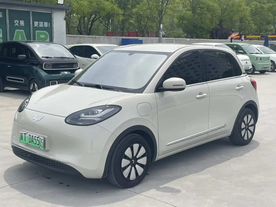 Wuling Bingo