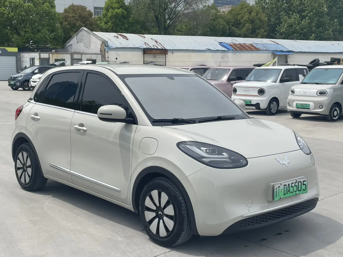 Wuling Bingo