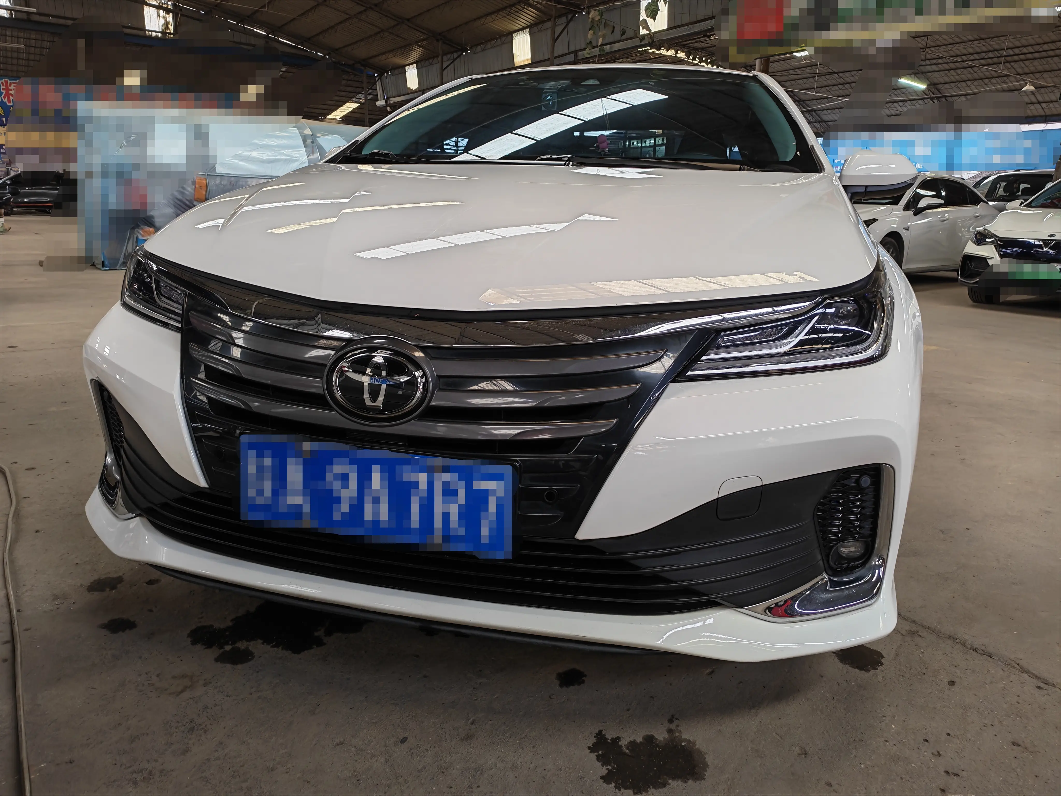 Toyota Asiatic lion