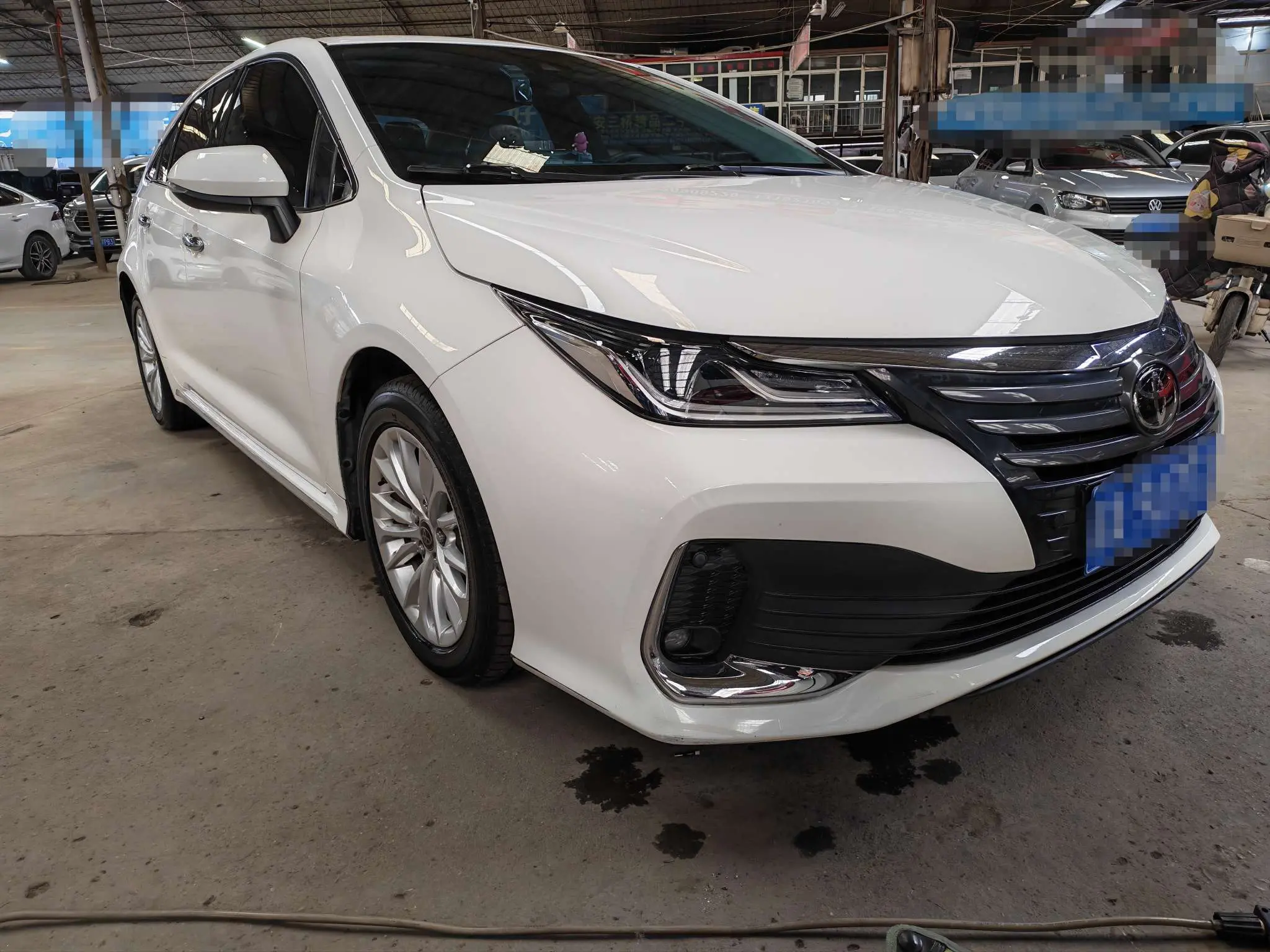 Toyota Asiatic lion