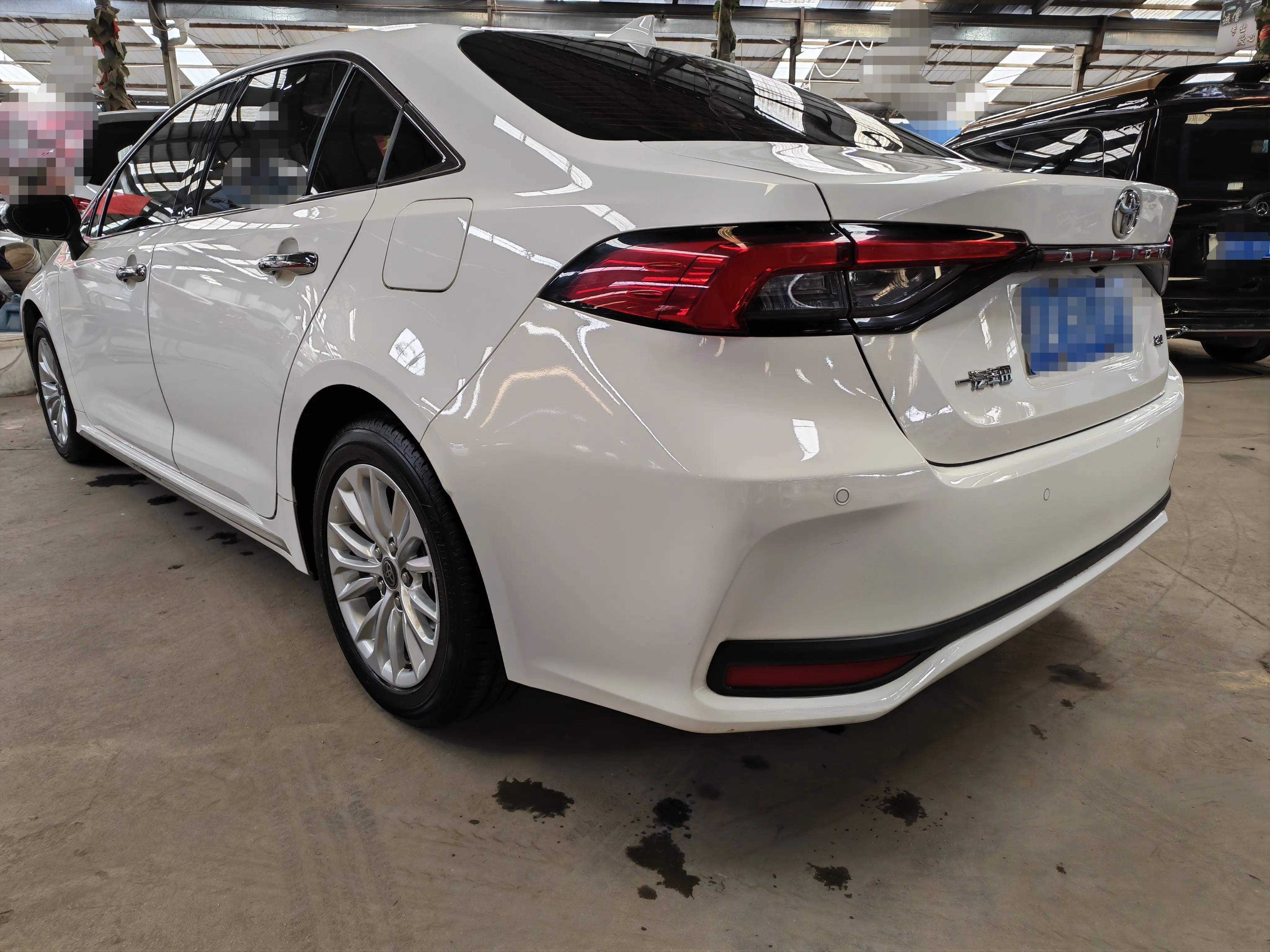 Toyota Asiatic lion