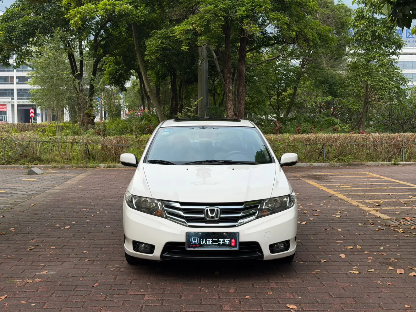Honda Avant-garde classic