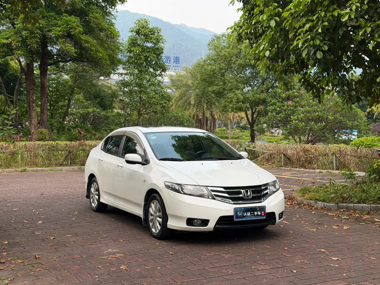 Honda Avant-garde classic