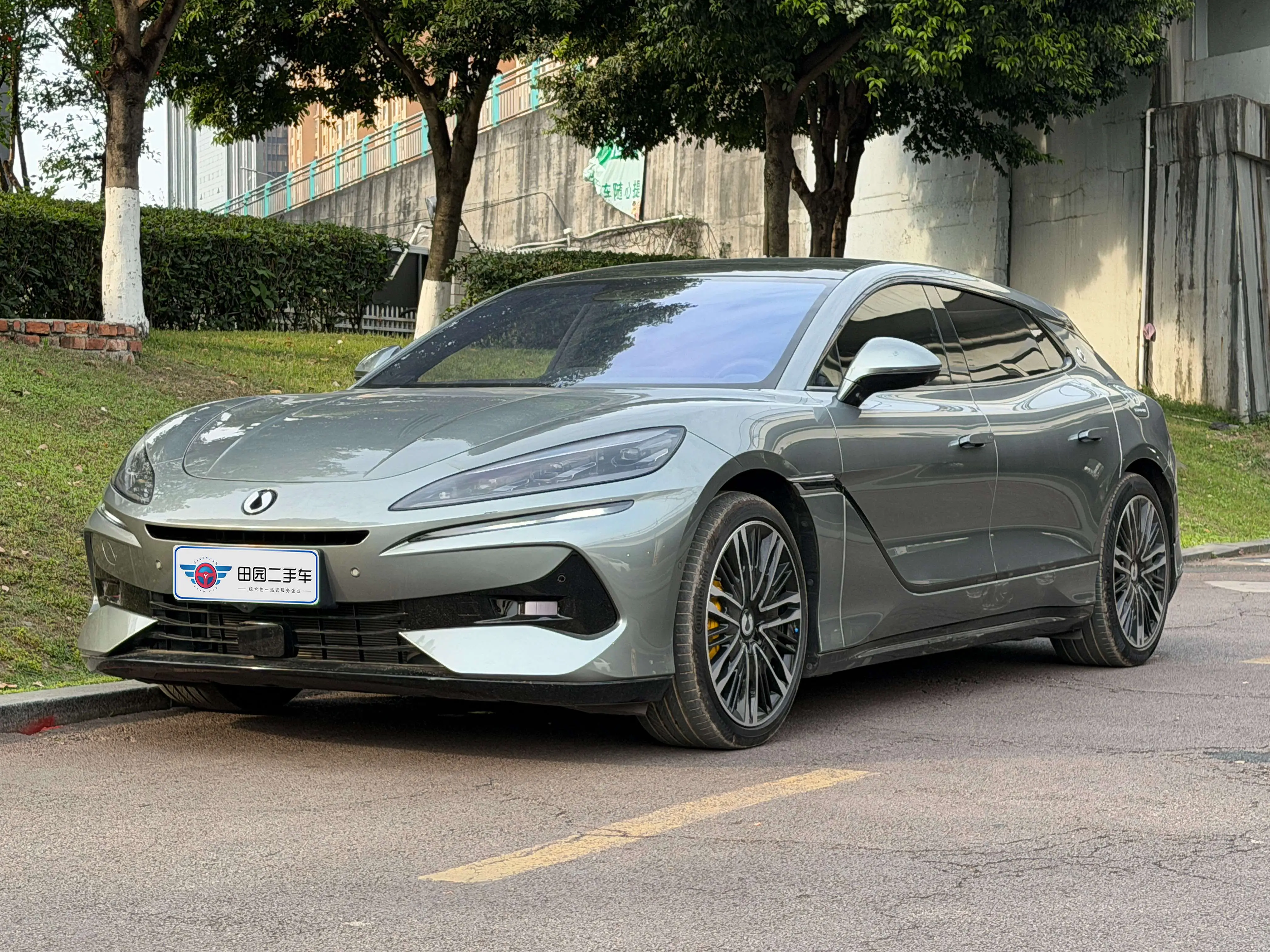 Denza DENGZH9GT DM