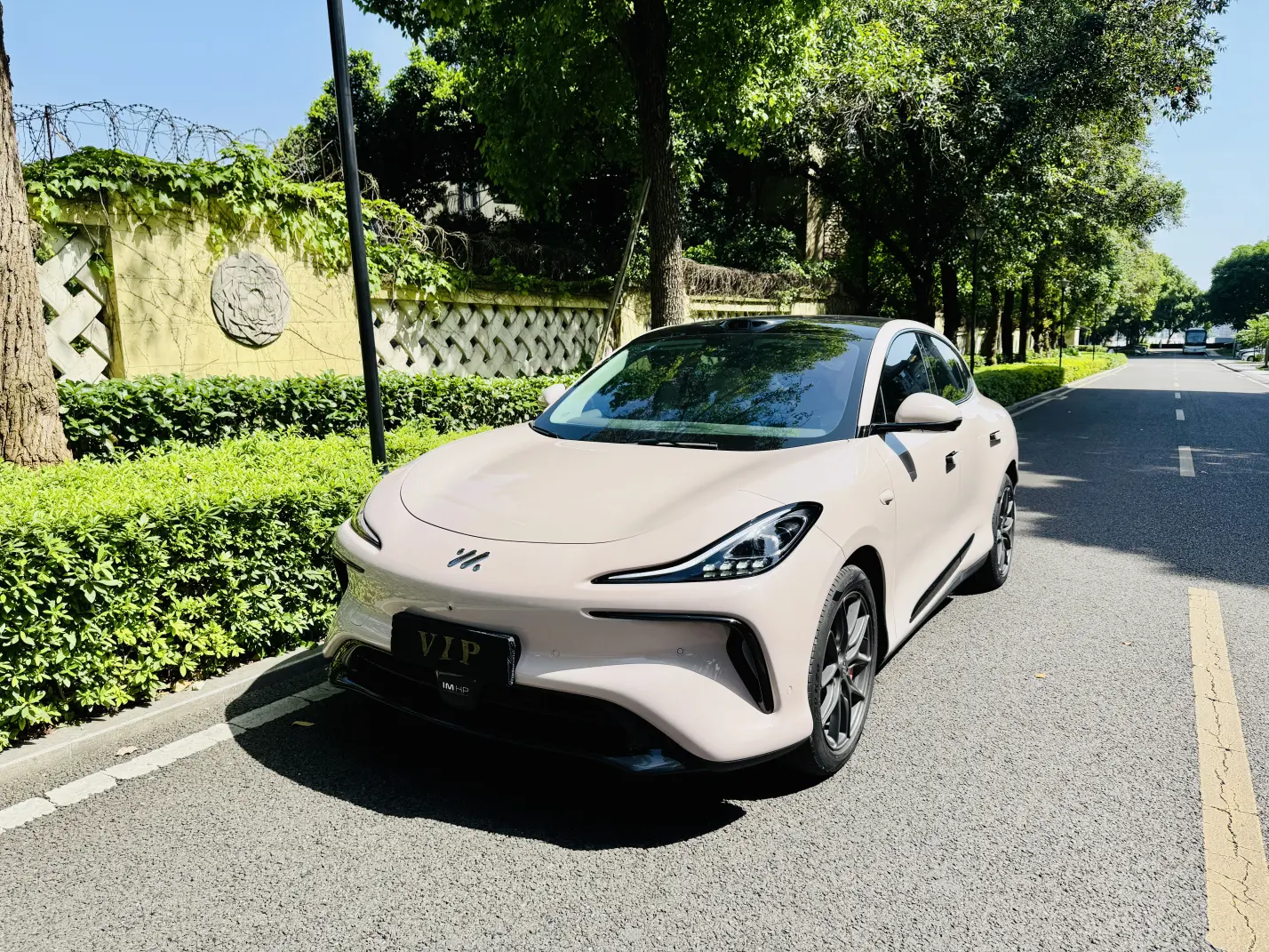 IM Motors LS6