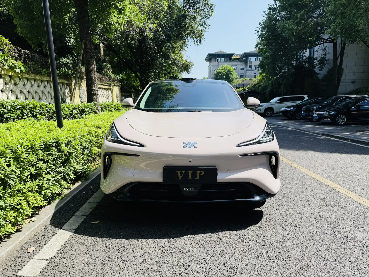 IM Motors LS6
