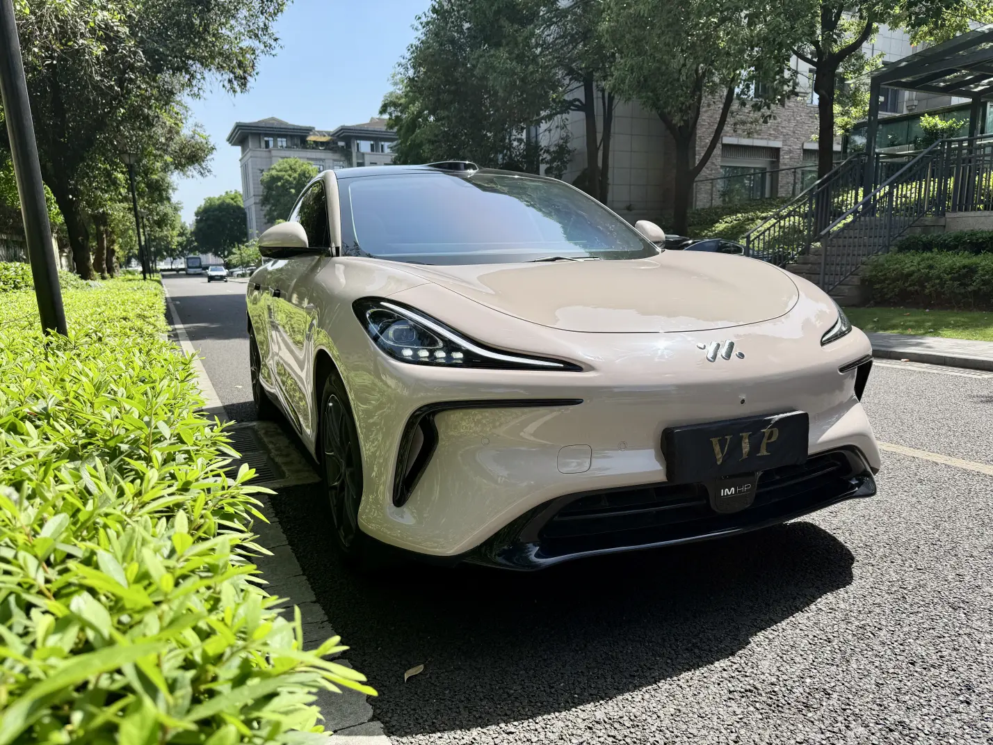 IM Motors LS6