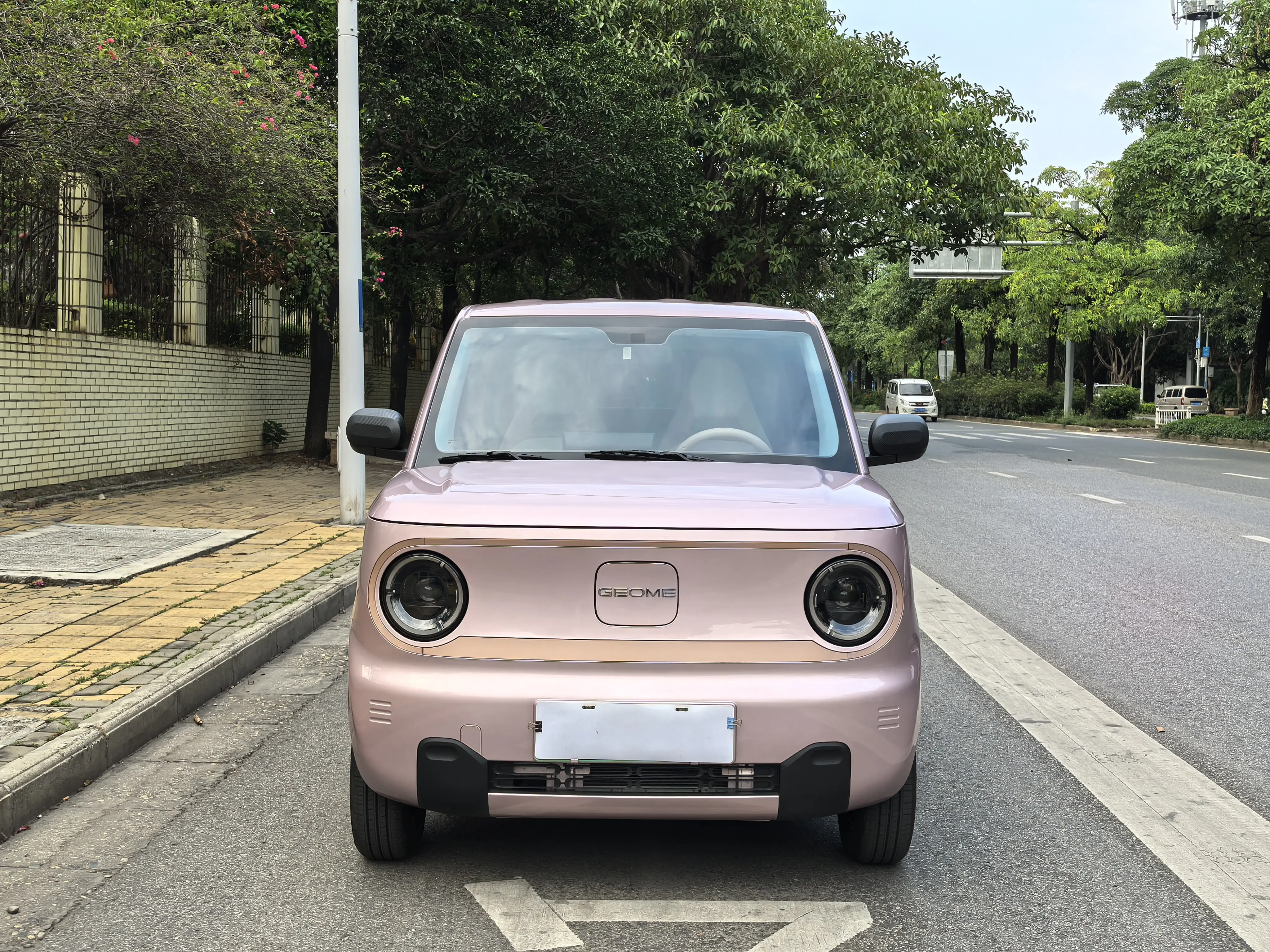 Geely Panda