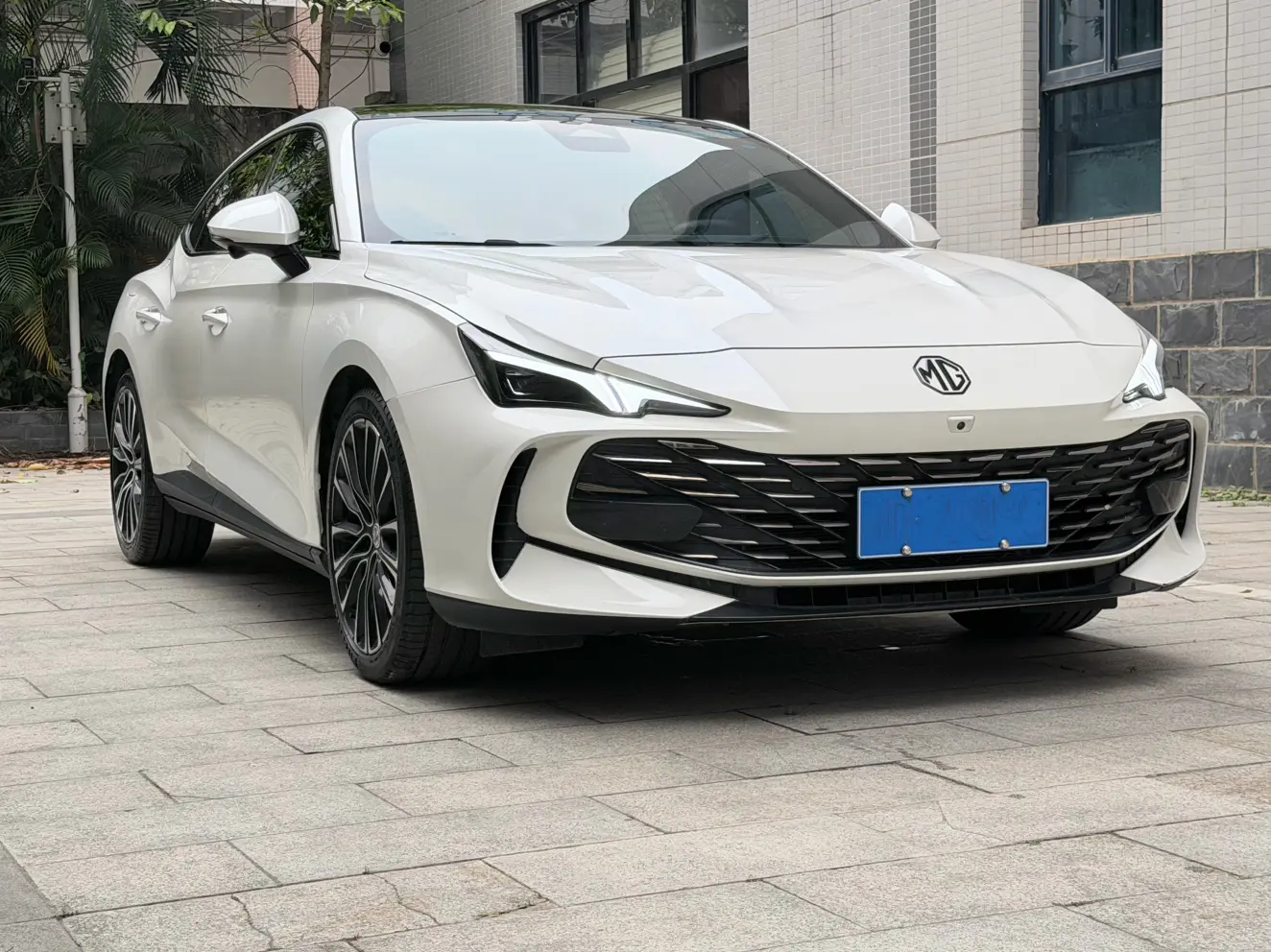 MG 7