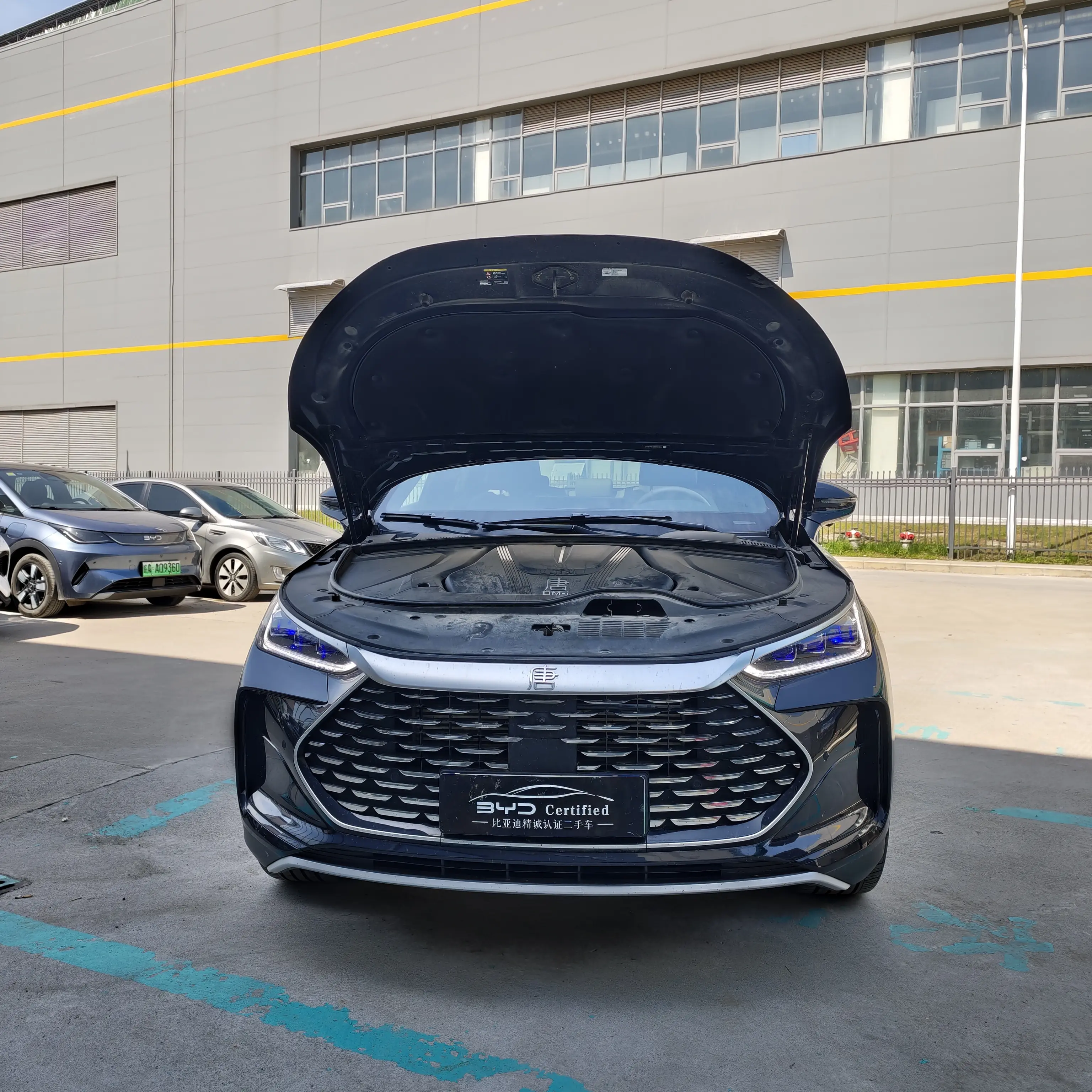 BYD Tang DM