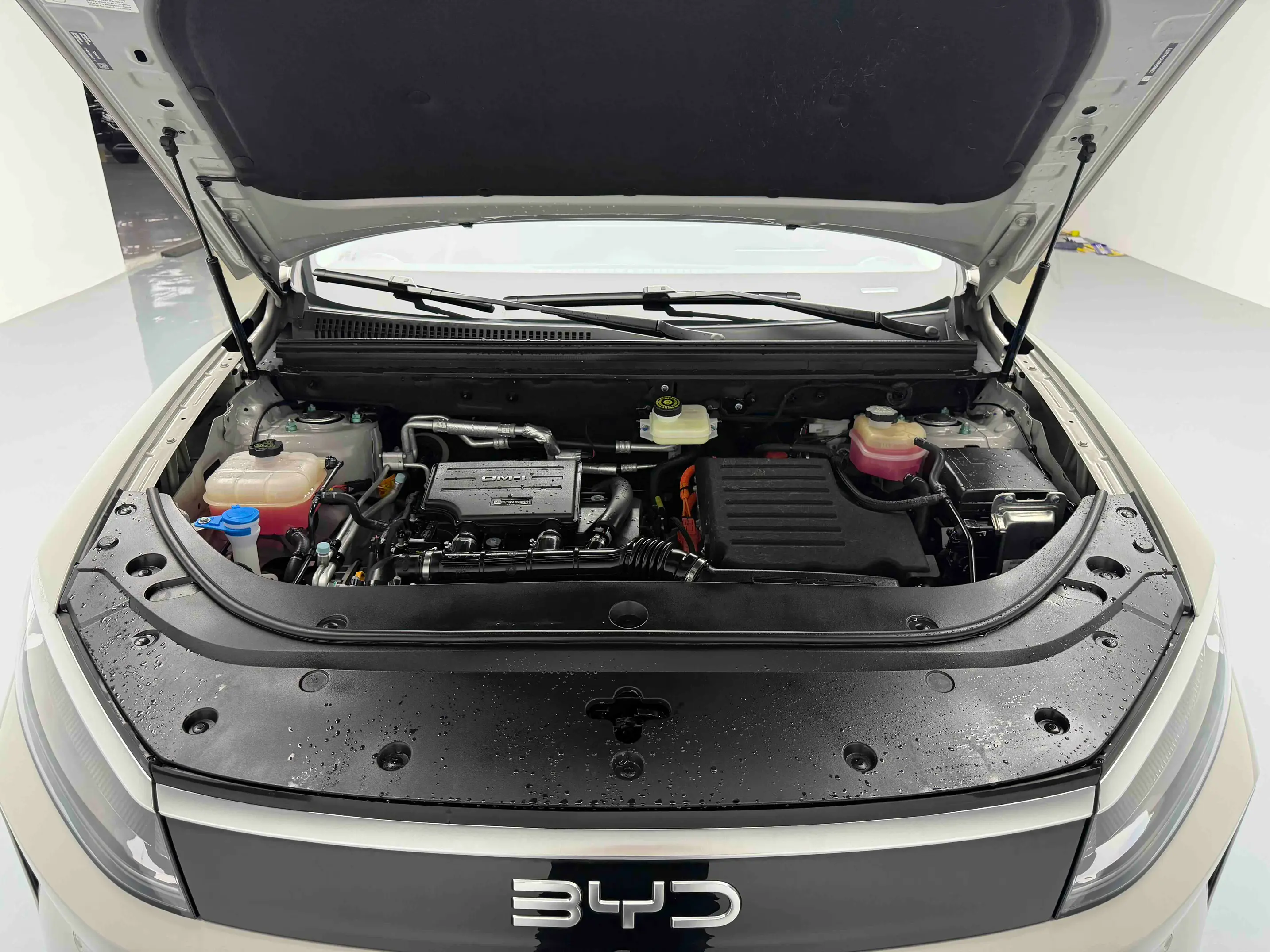 BYD Sea Lion 05DM