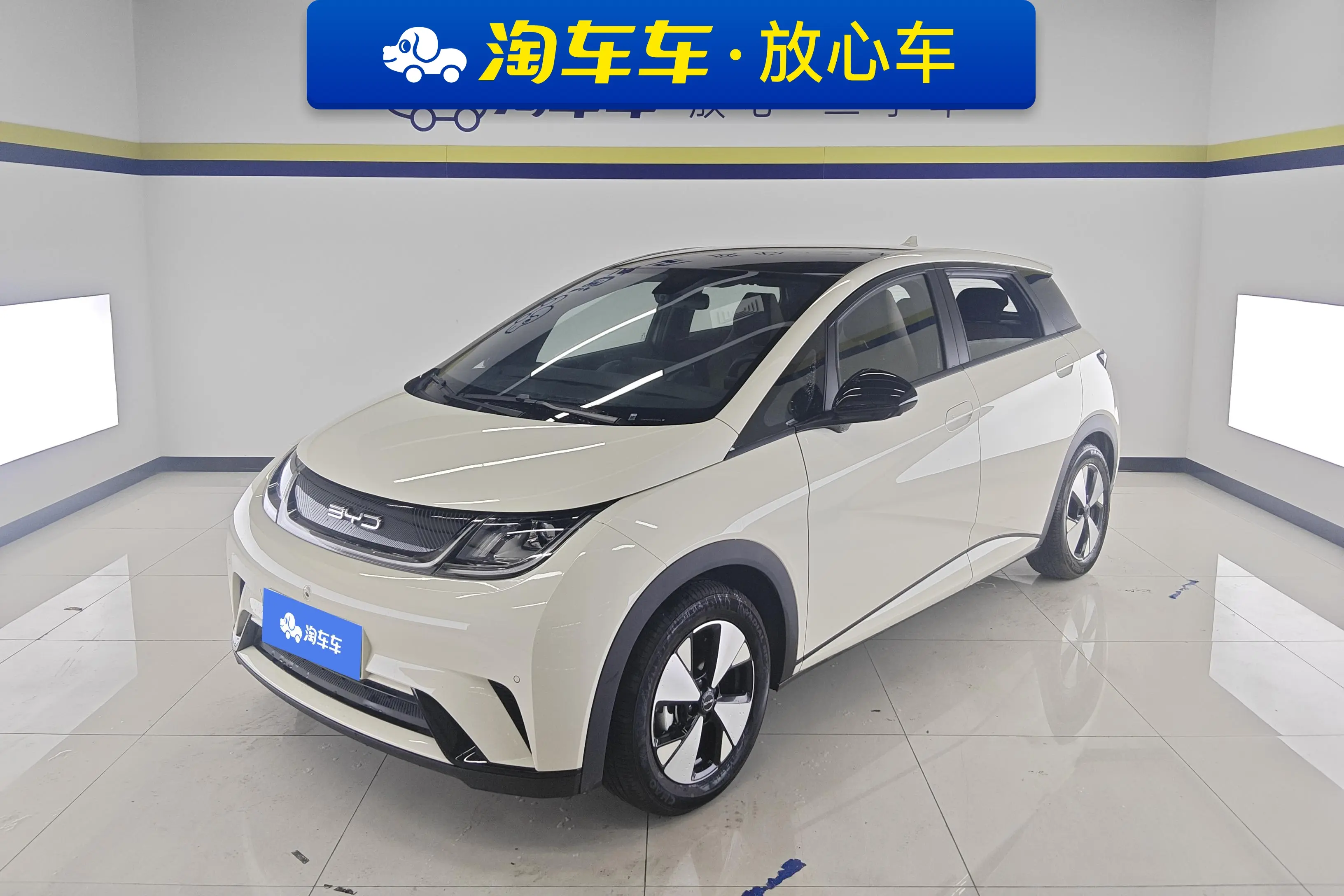 BYD Dolphin