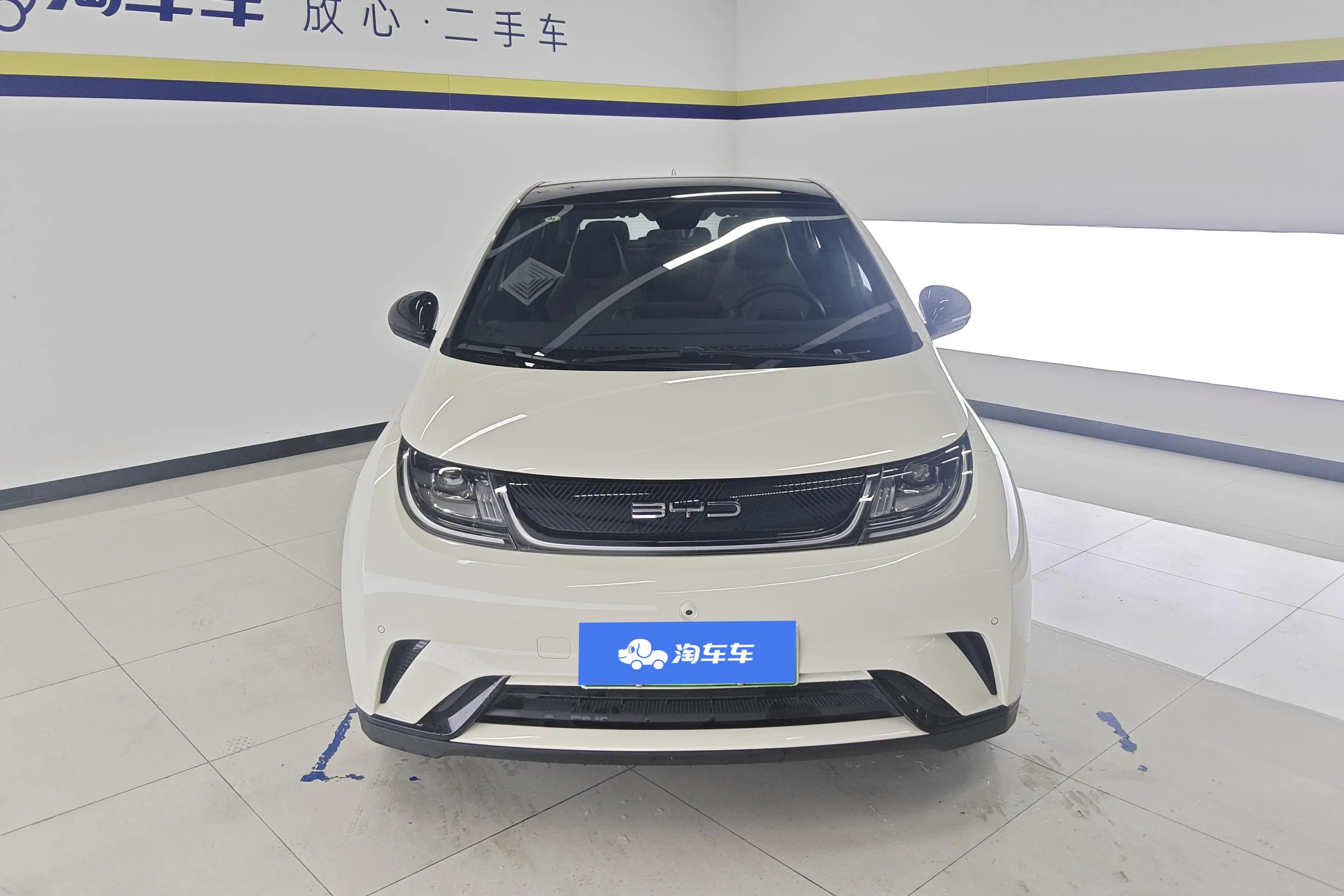 BYD Dolphin