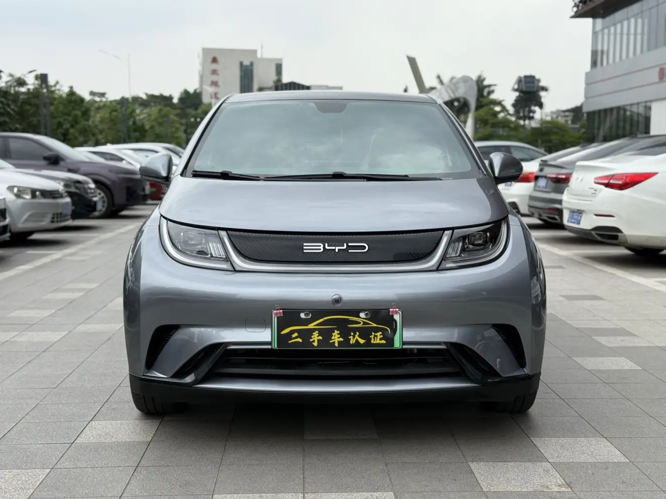 BYD Dolphin