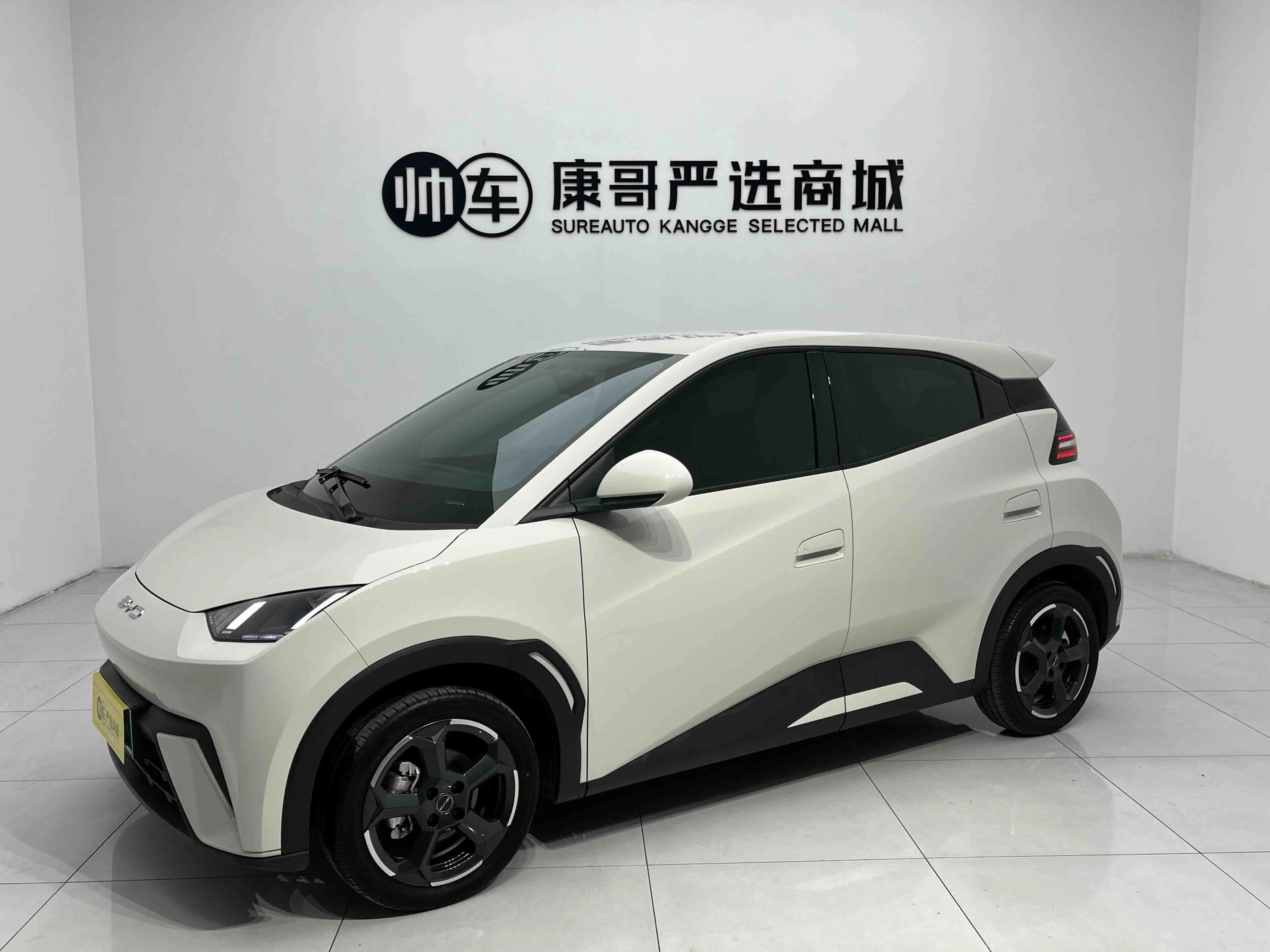BYD Seagull