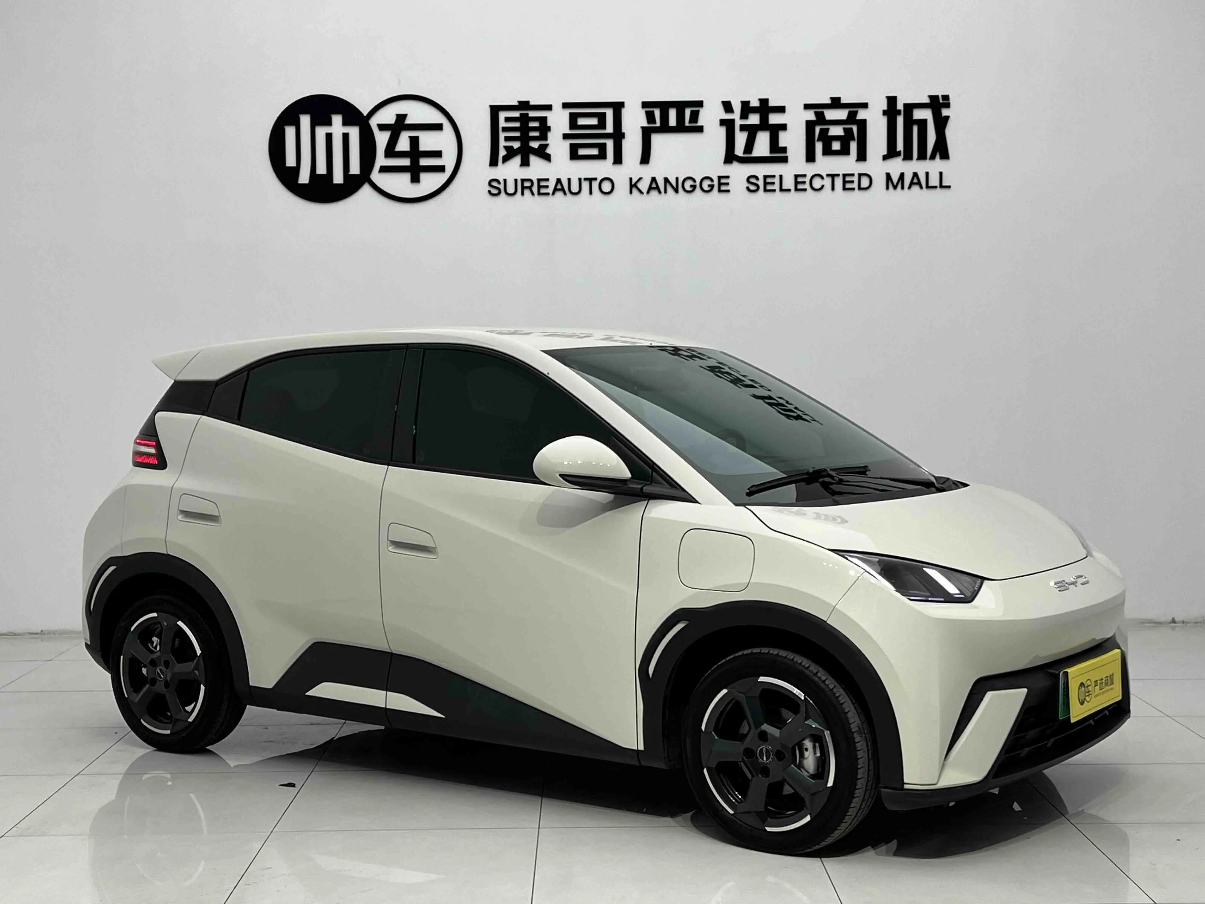 BYD Seagull