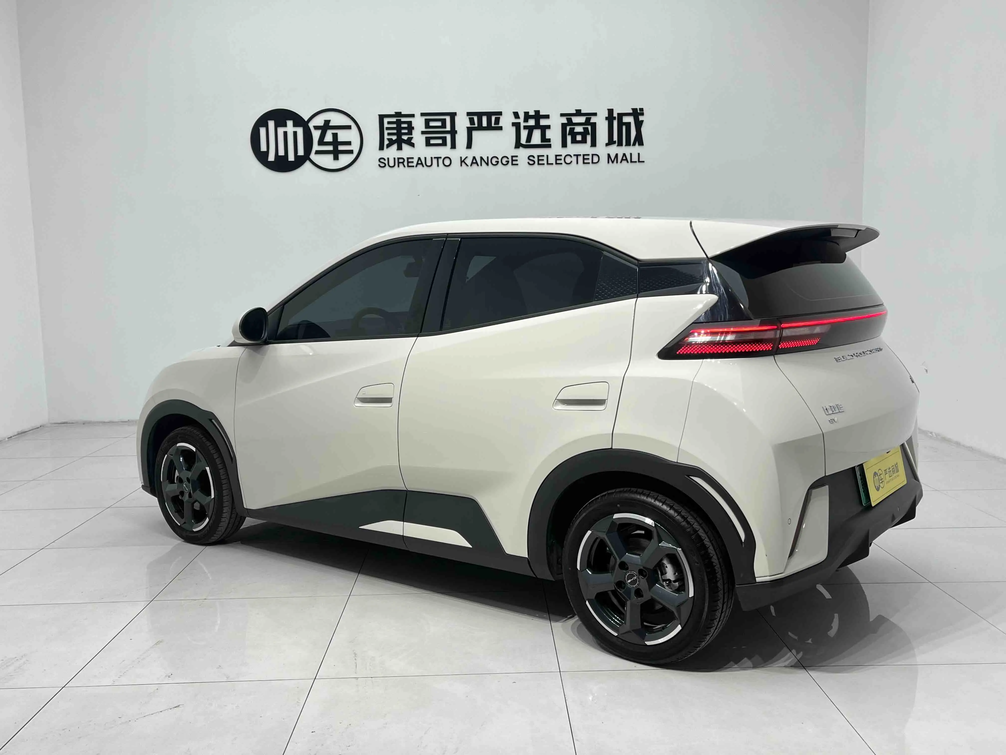 BYD Seagull