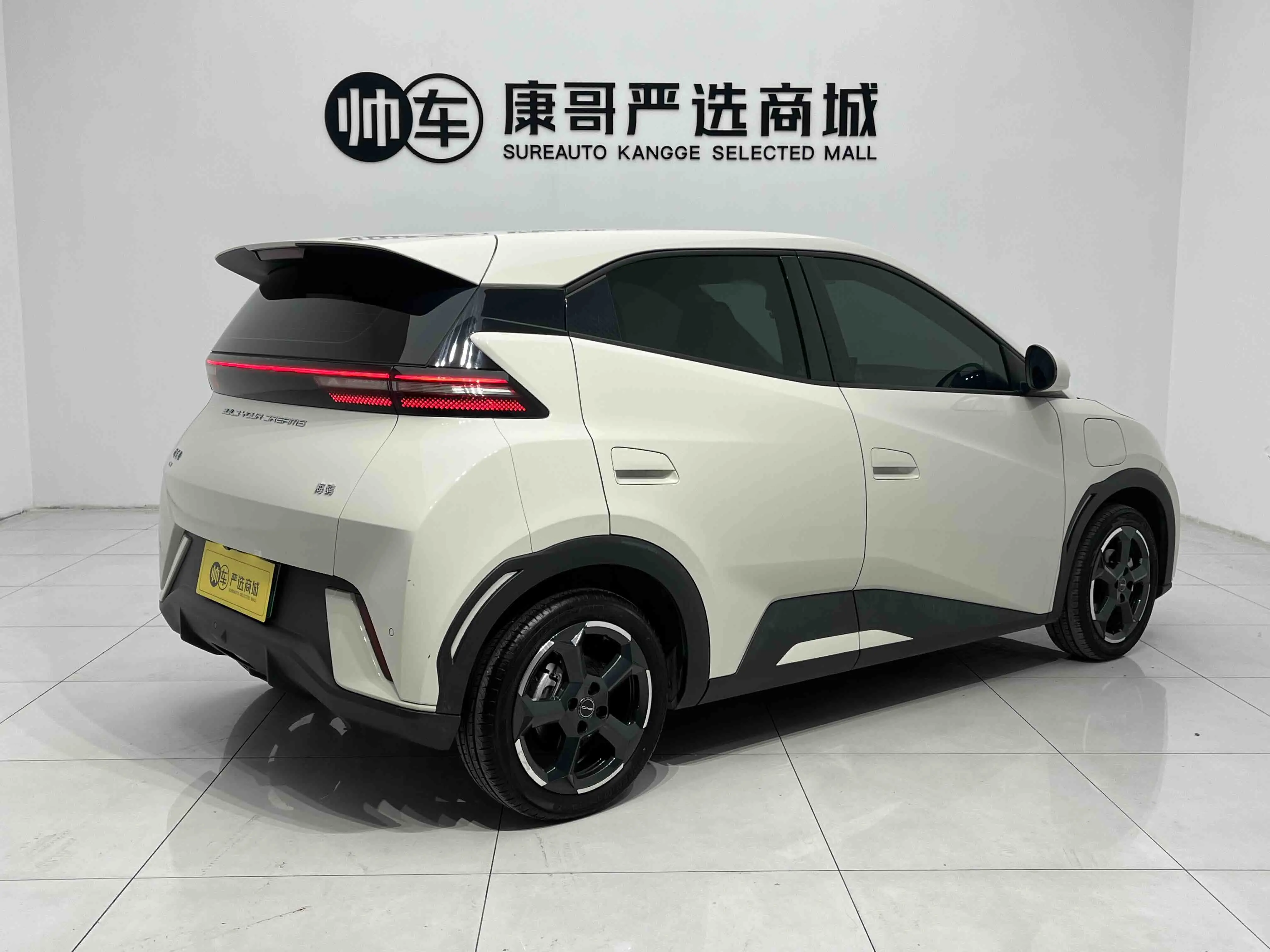 BYD Seagull