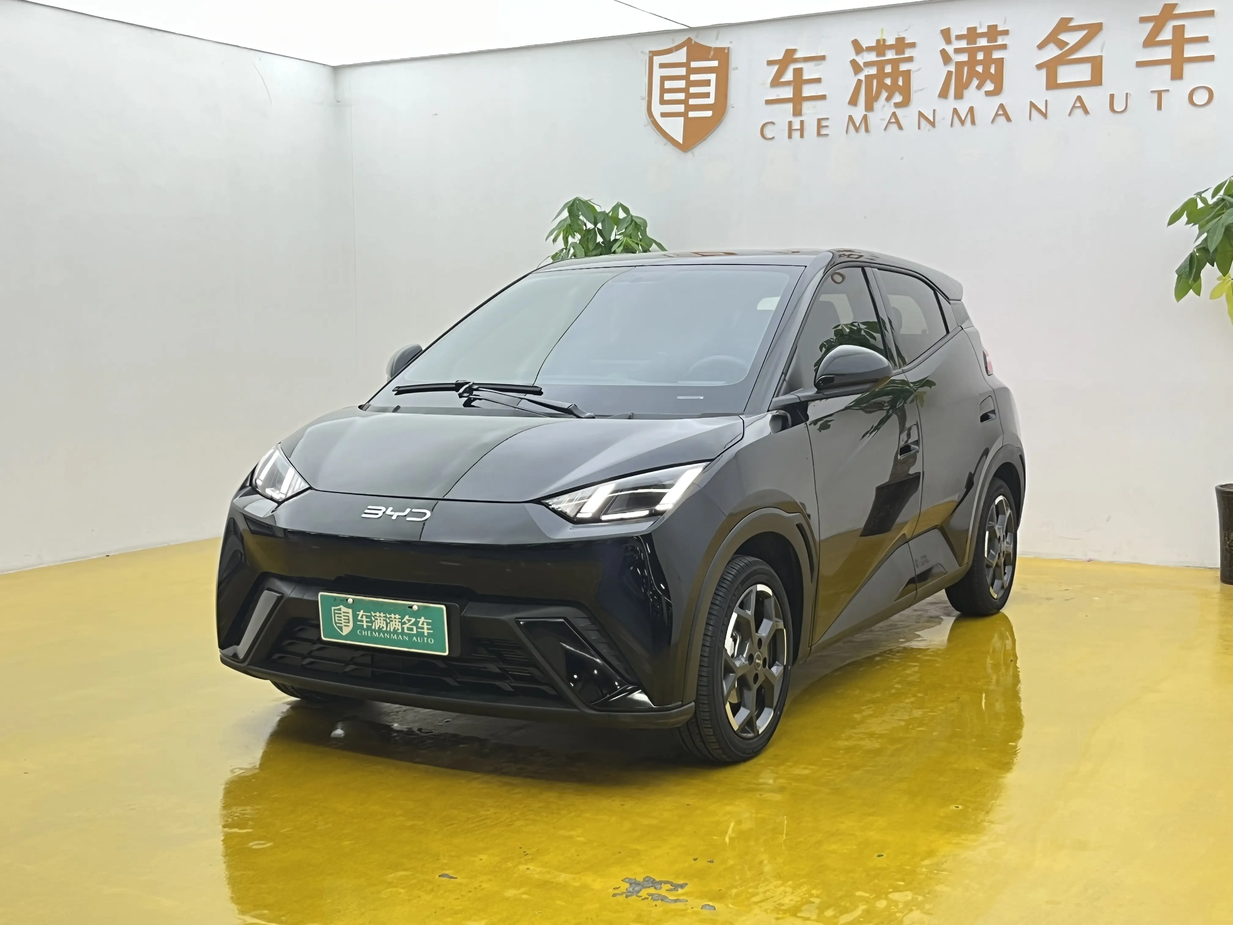 BYD Seagull