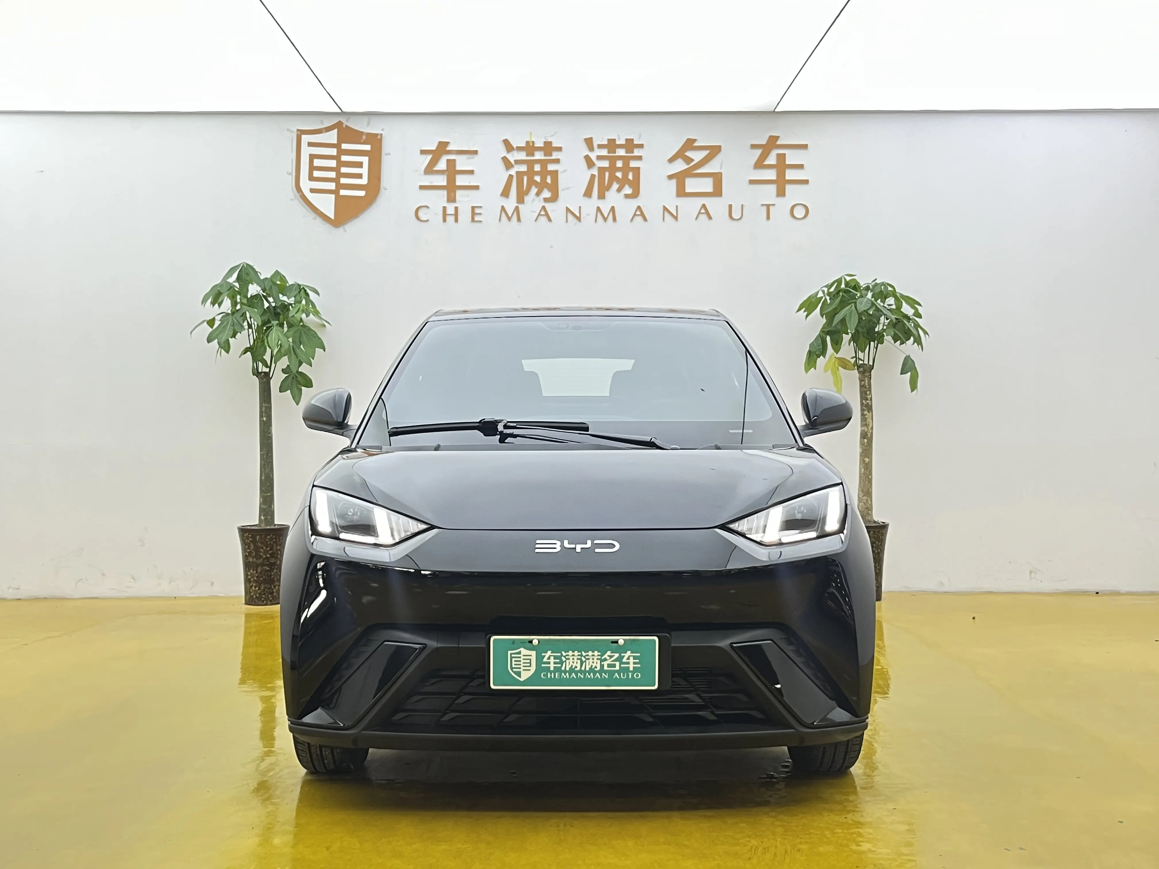 BYD Seagull