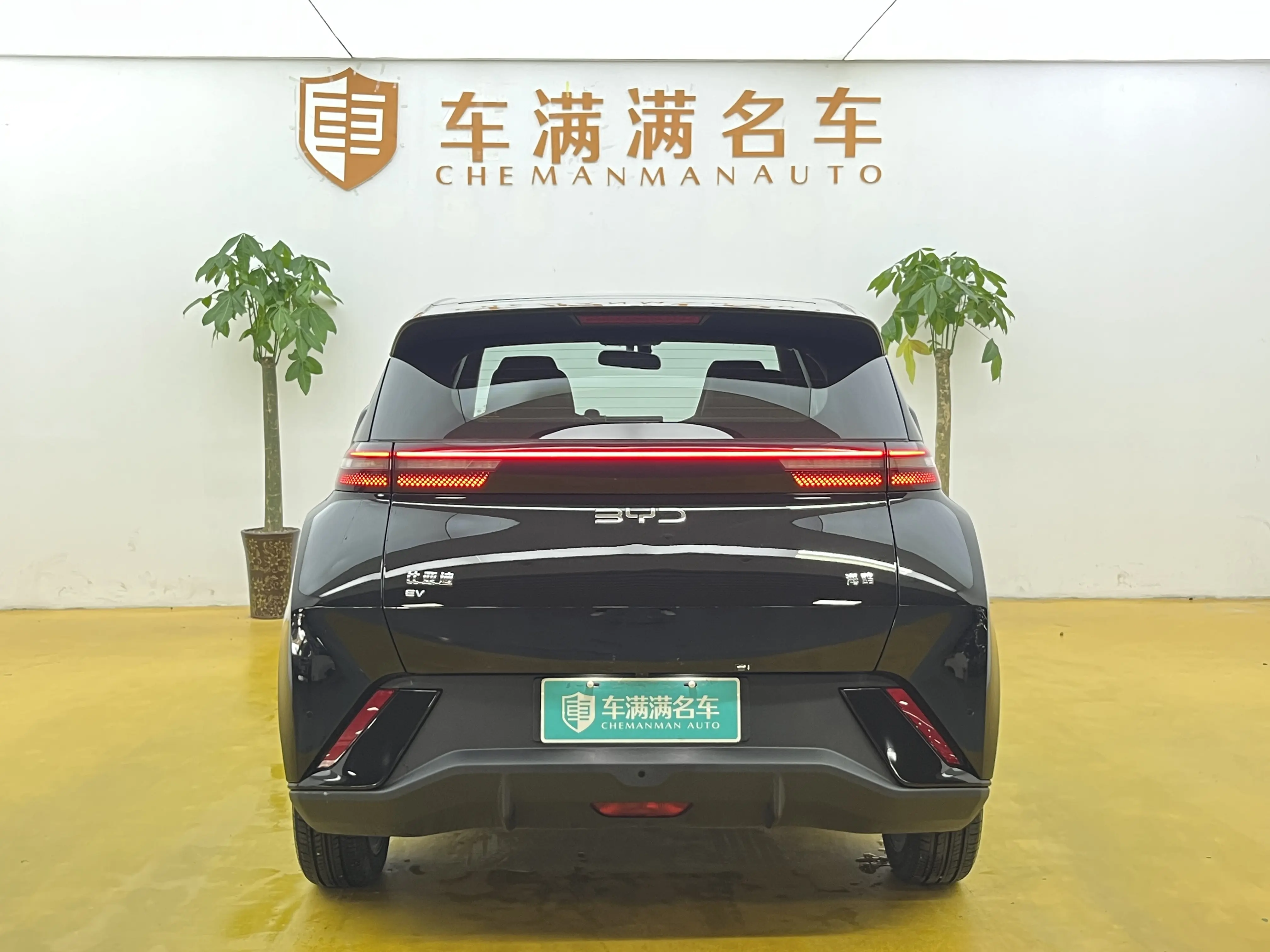 BYD Seagull