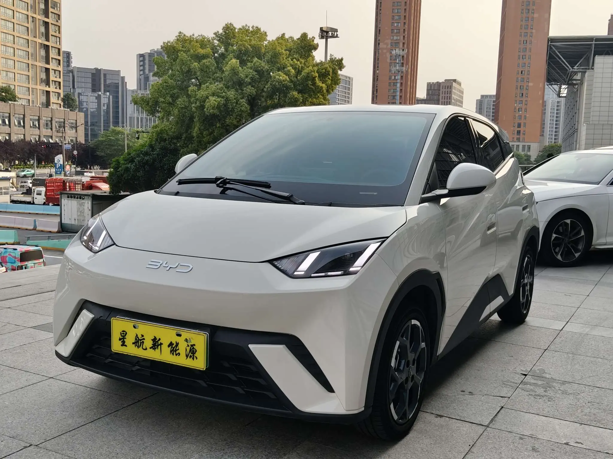 BYD Seagull