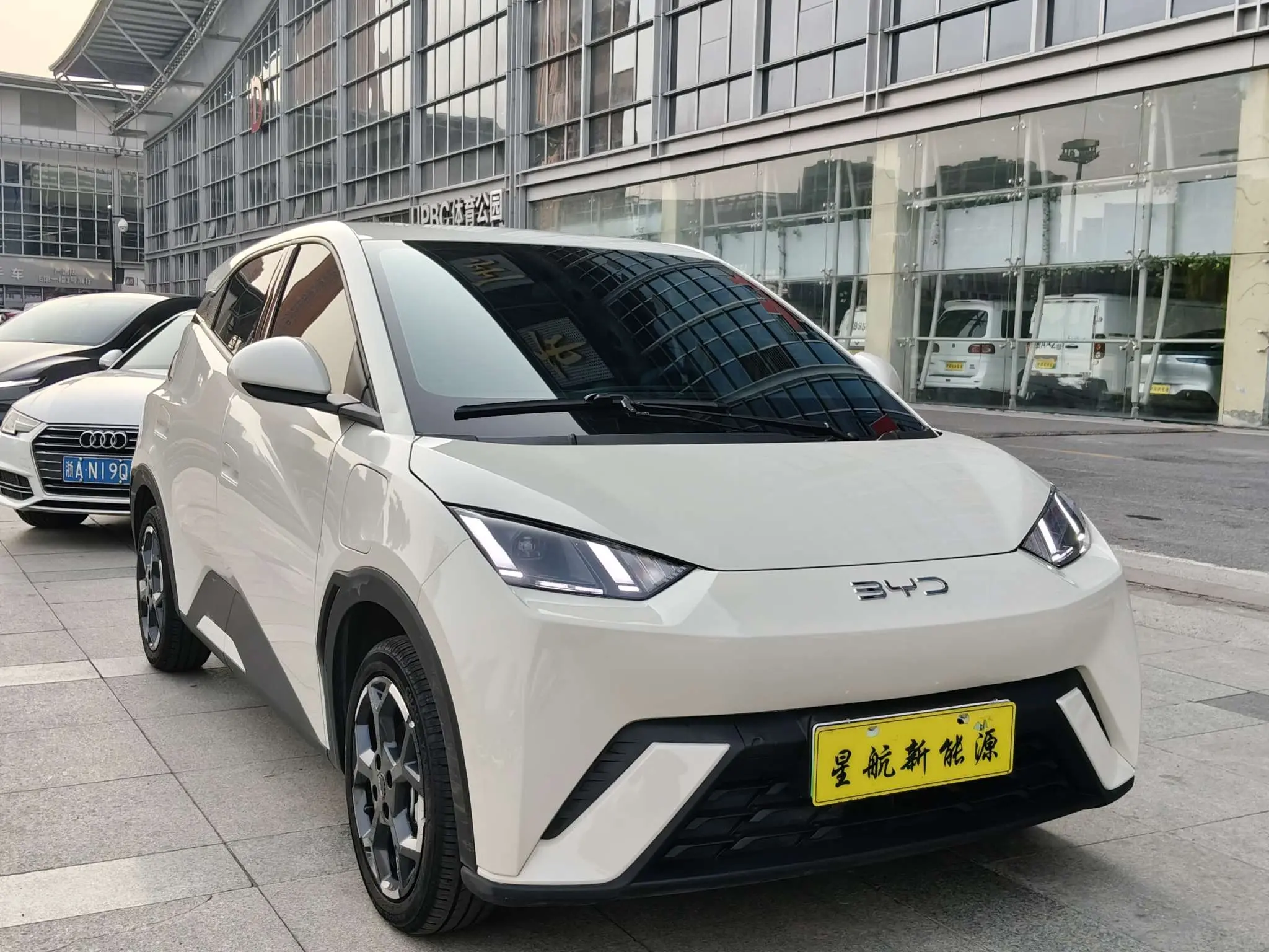 BYD Seagull