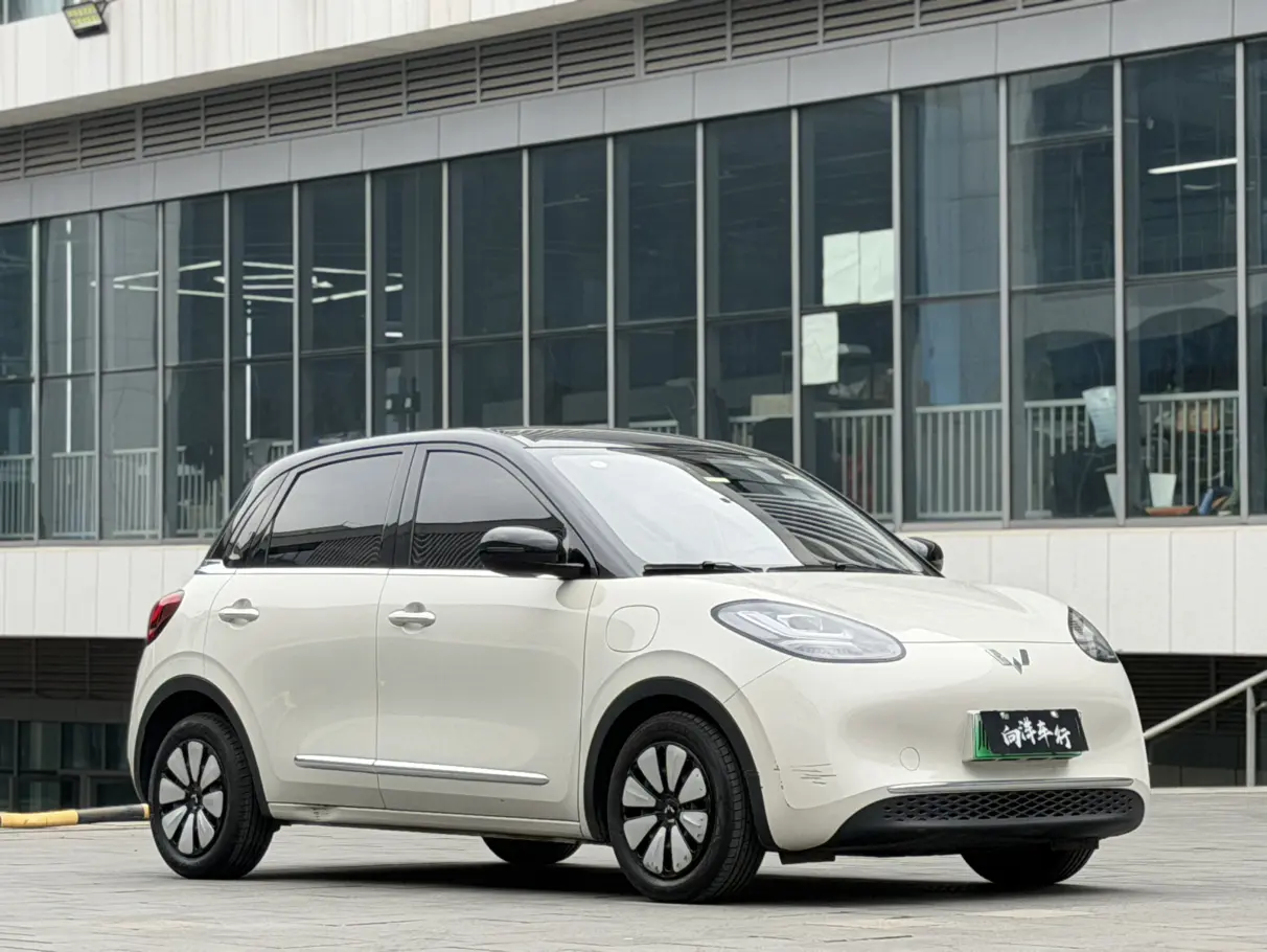 Wuling Bingo