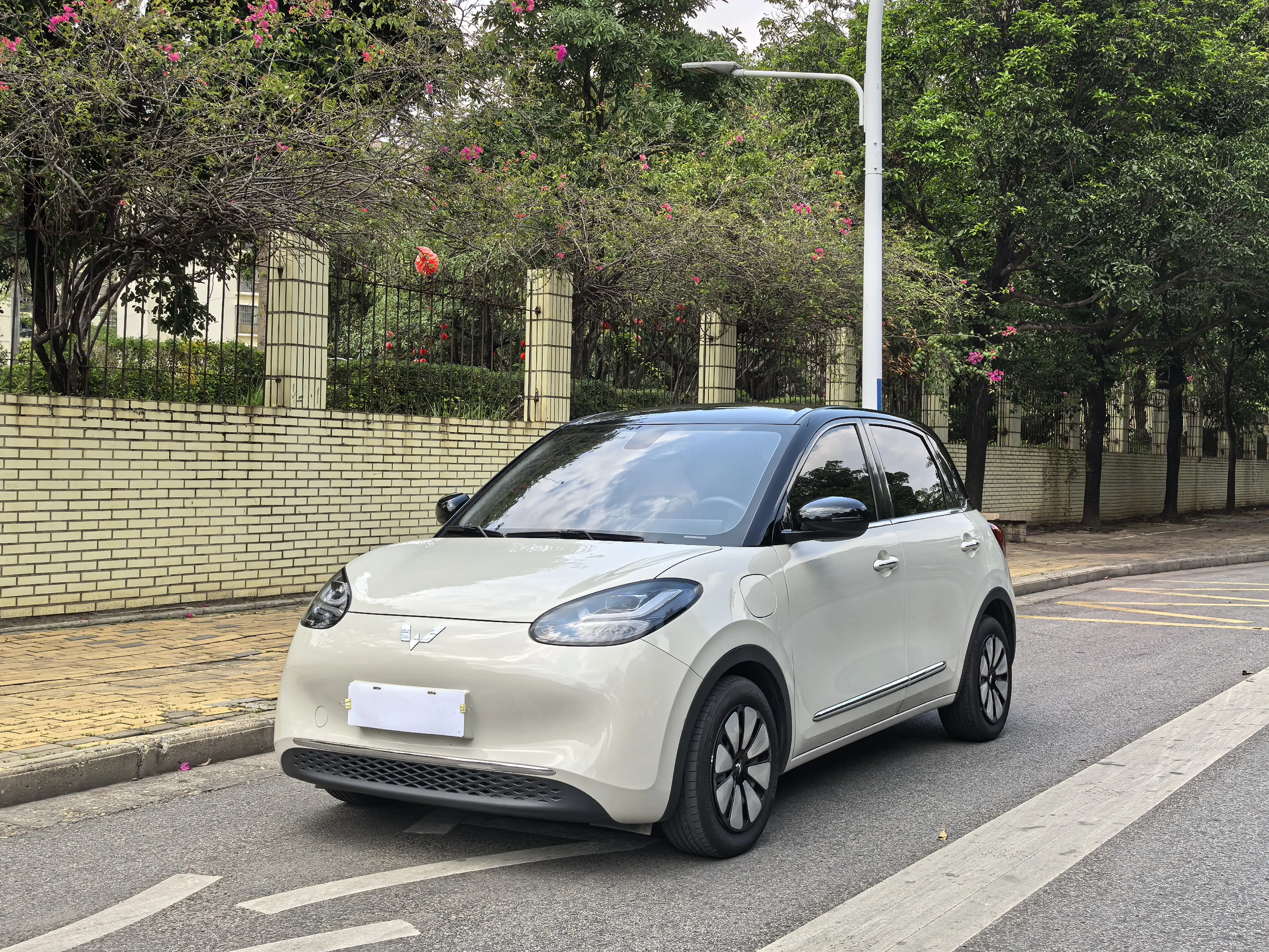 Wuling Bingo