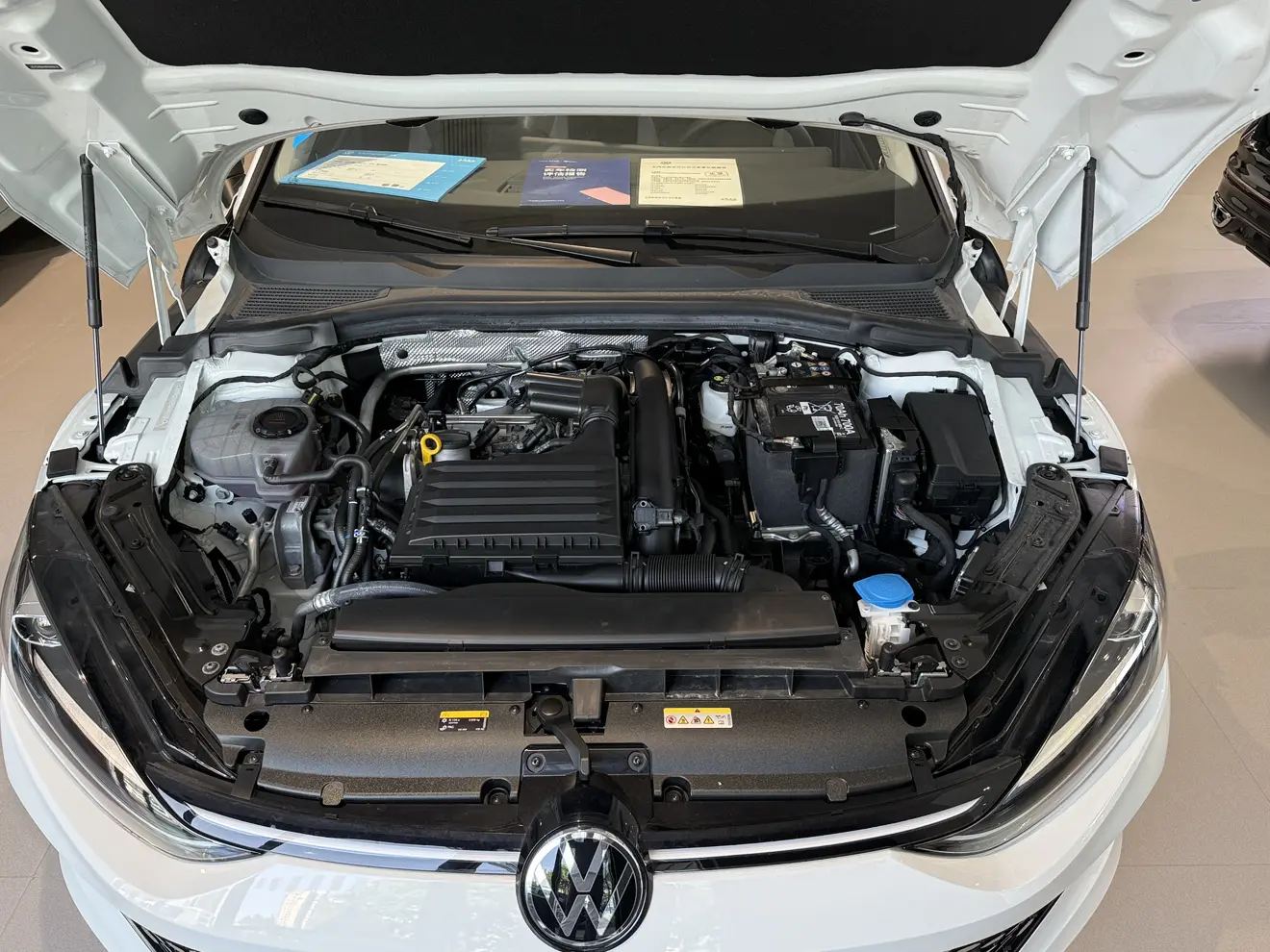 Volkswagen Lamando